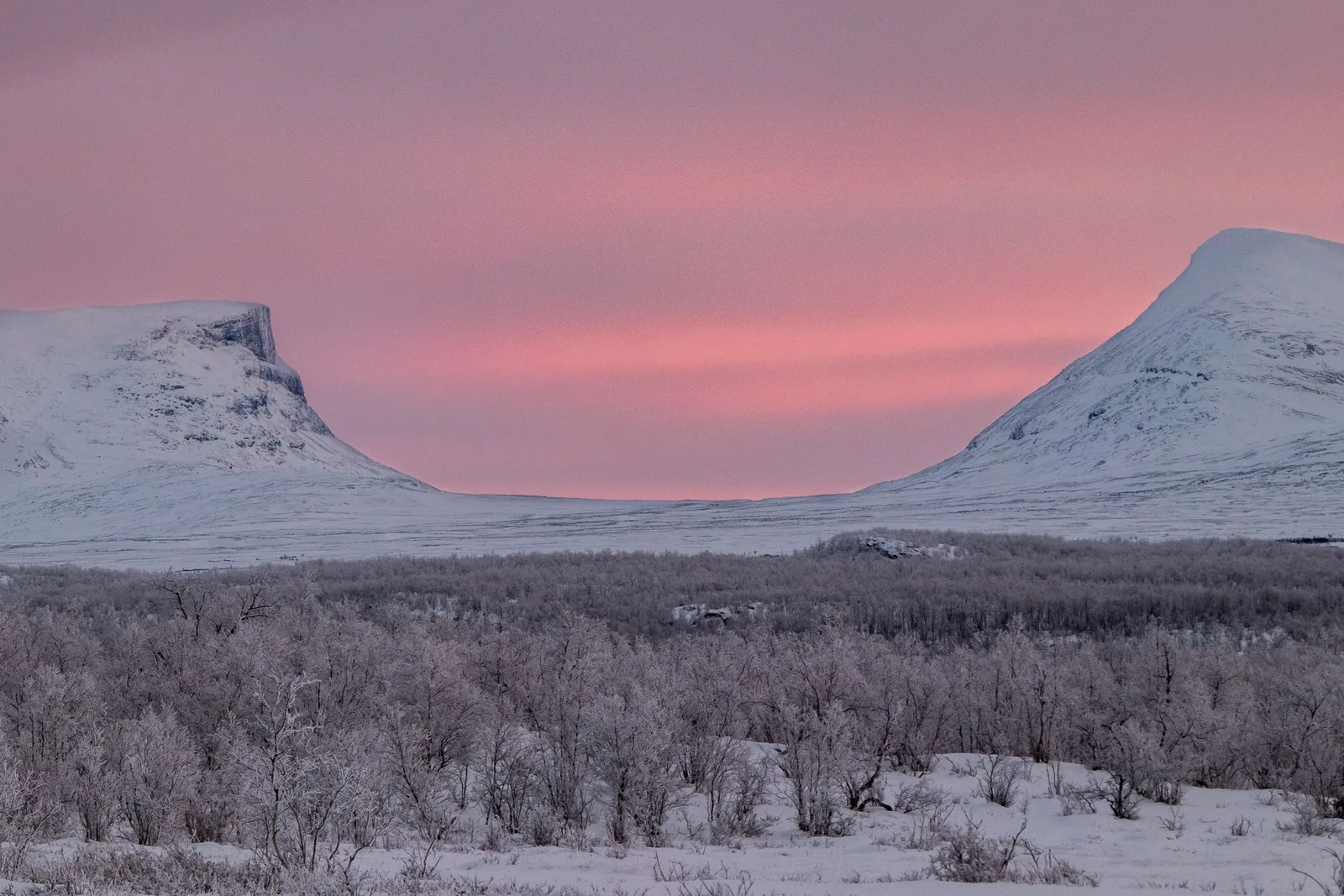 Offer photo: Guided morning hike in Abisko National Park