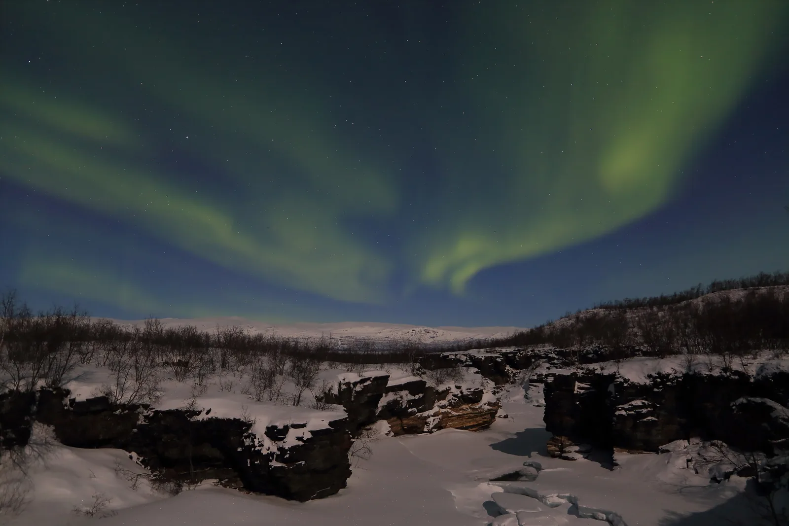 Green northern lights in Abisko National Park over the snow-covered, frozen canyon of the Abiskojåkka, with birches and a low ridge behind