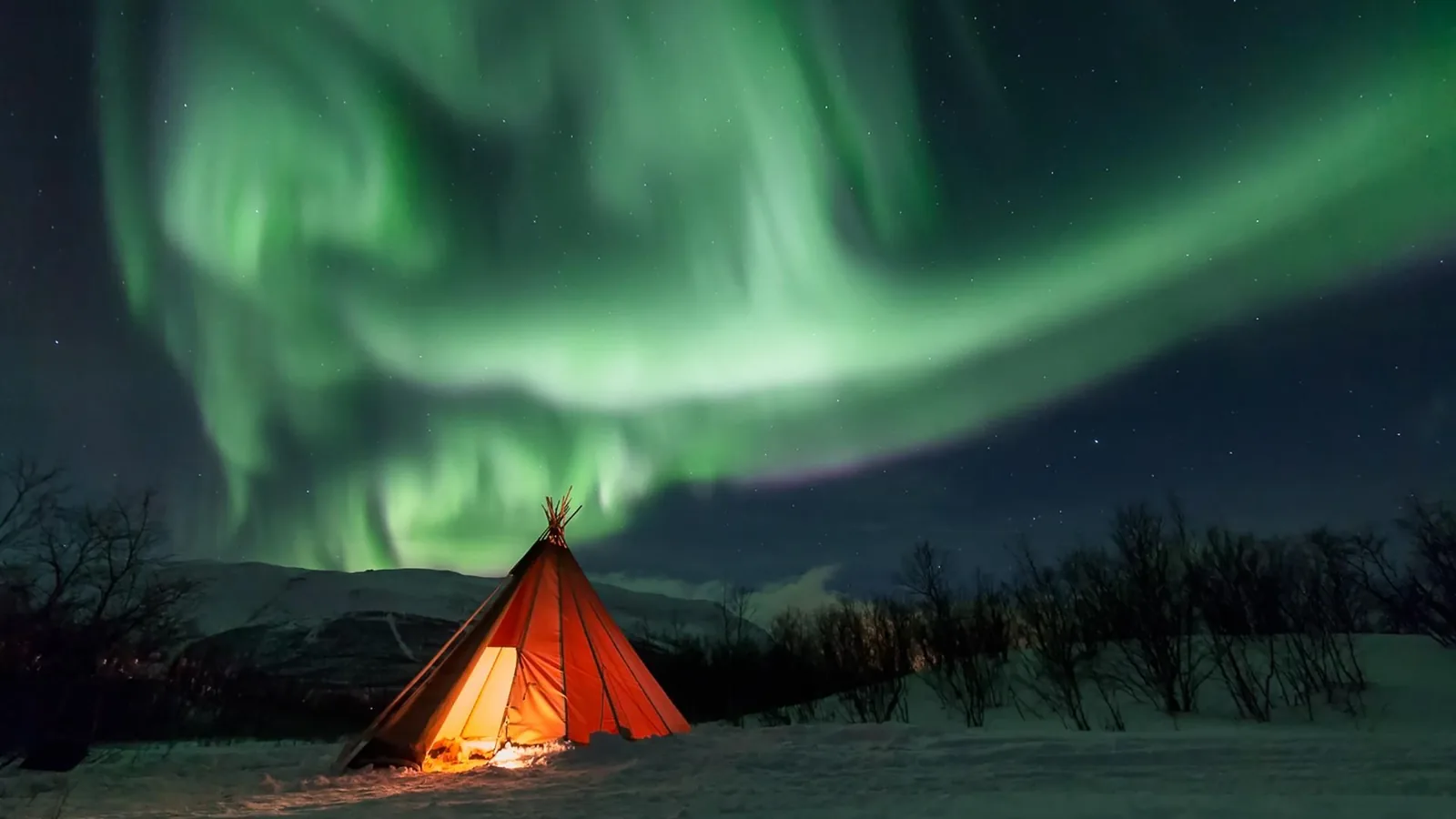 Offer photo: Northern lights photo tour from Abisko with camera provided