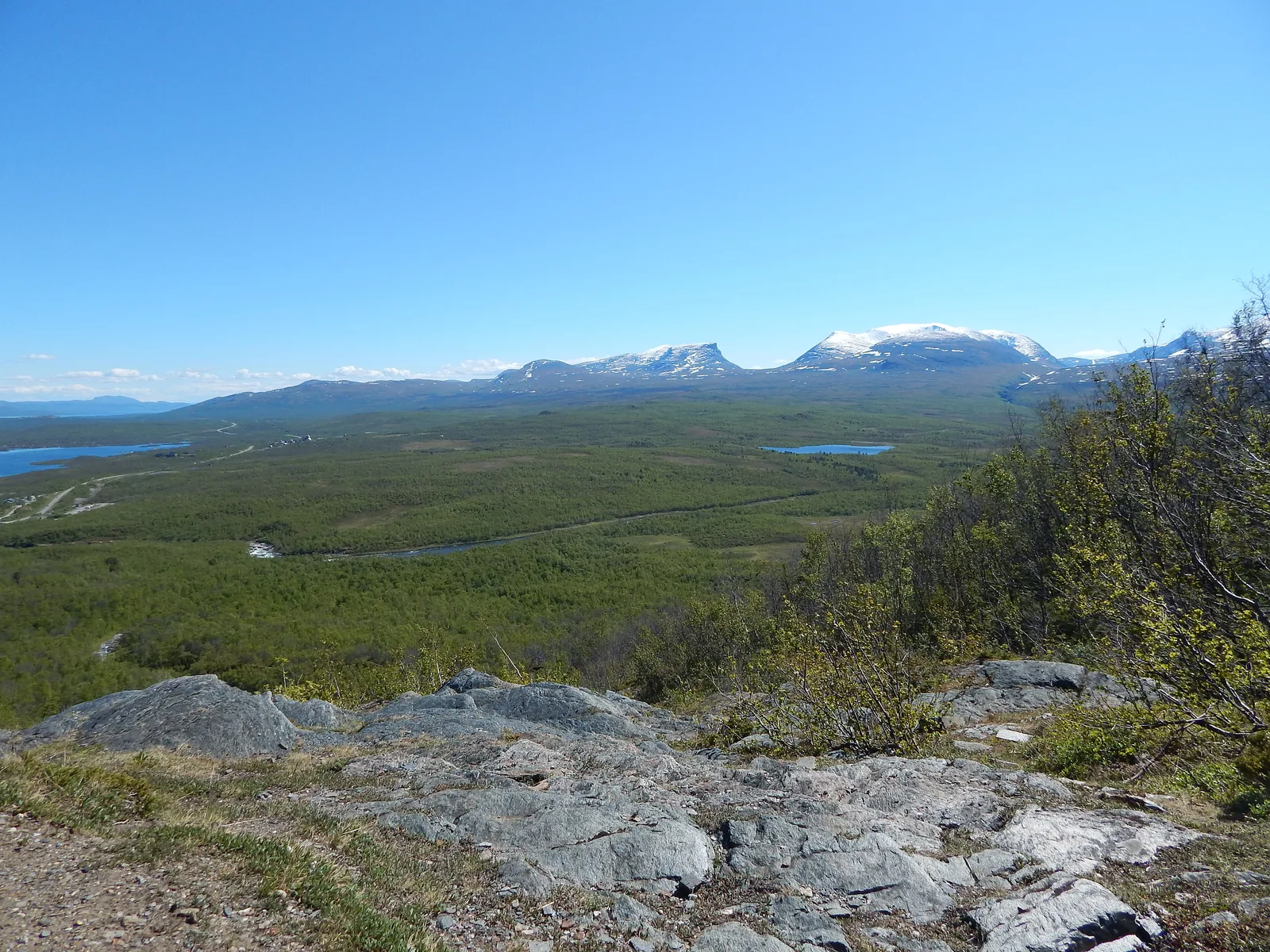 Summer view from Paddus over the forested Abisko valley with Torneträsk, the Abiskojåkka and Lapporten on the horizon