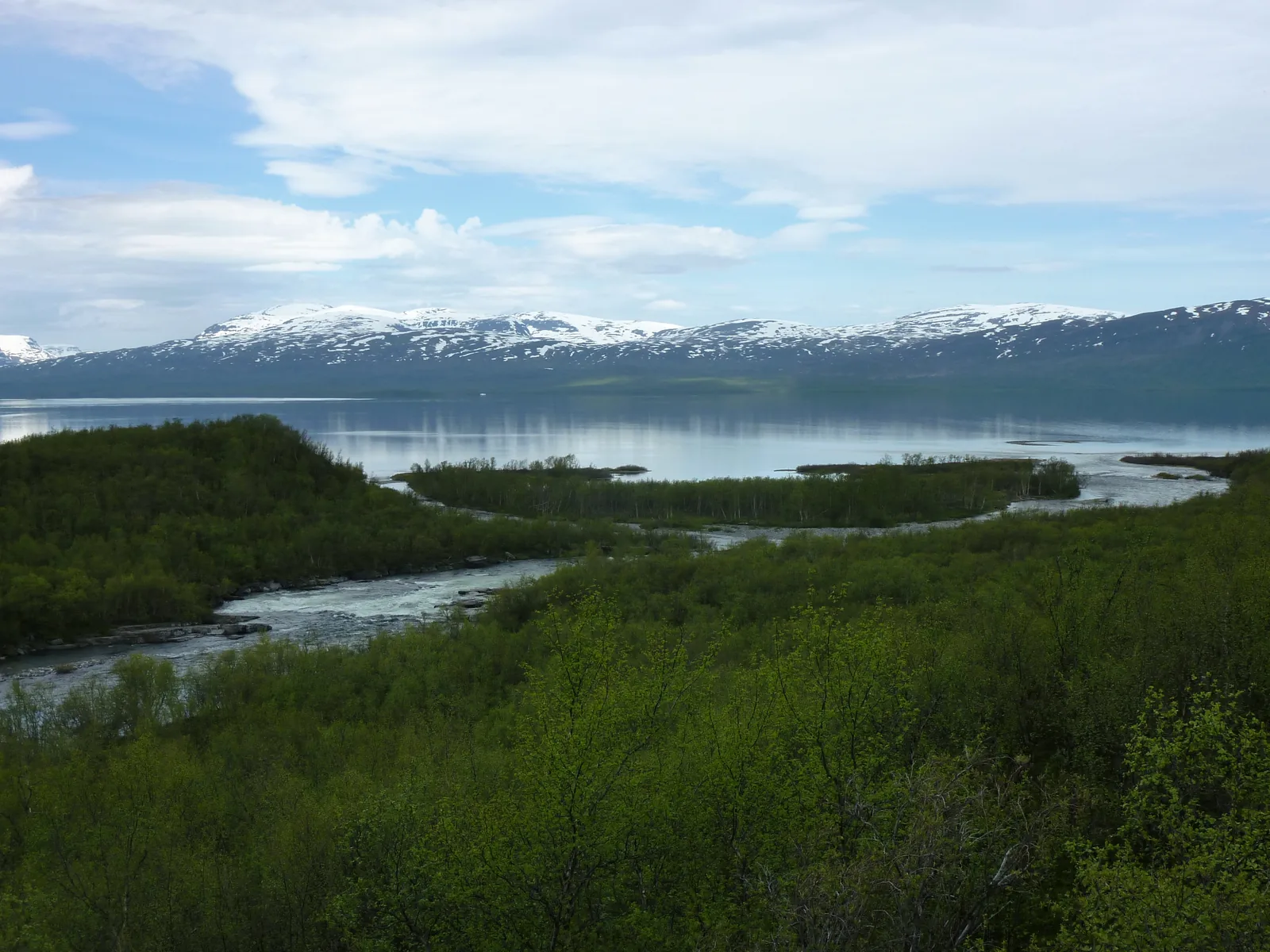 The Abiskojåkka flows through birch forest in Abisko National Park into Torneträsk, with snow-covered mountains behind