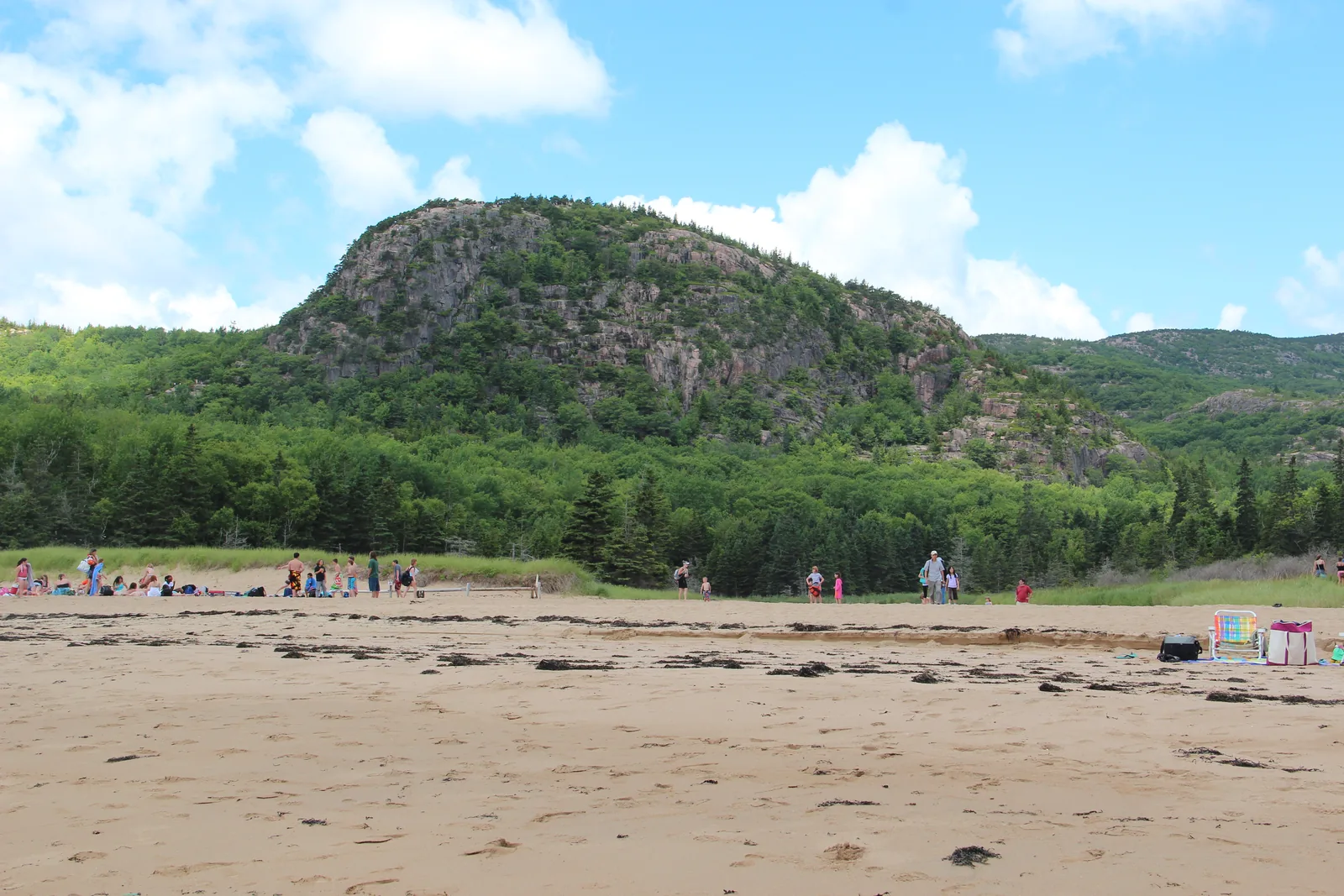 The bare granite dome of the Beehive in Acadia National Park, above forest and marsh grass, seen from Sand Beach