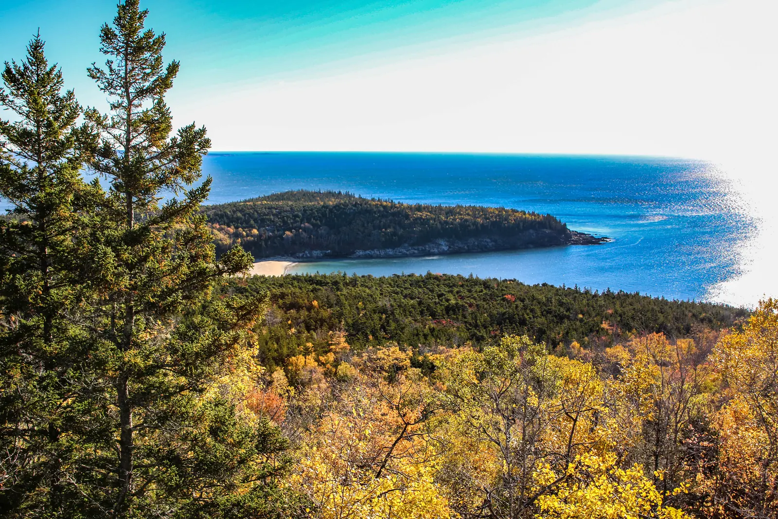 View from Gorham Mountain in Acadia National Park over autumn-coloured forest down to Sand Beach and the Great Head headland