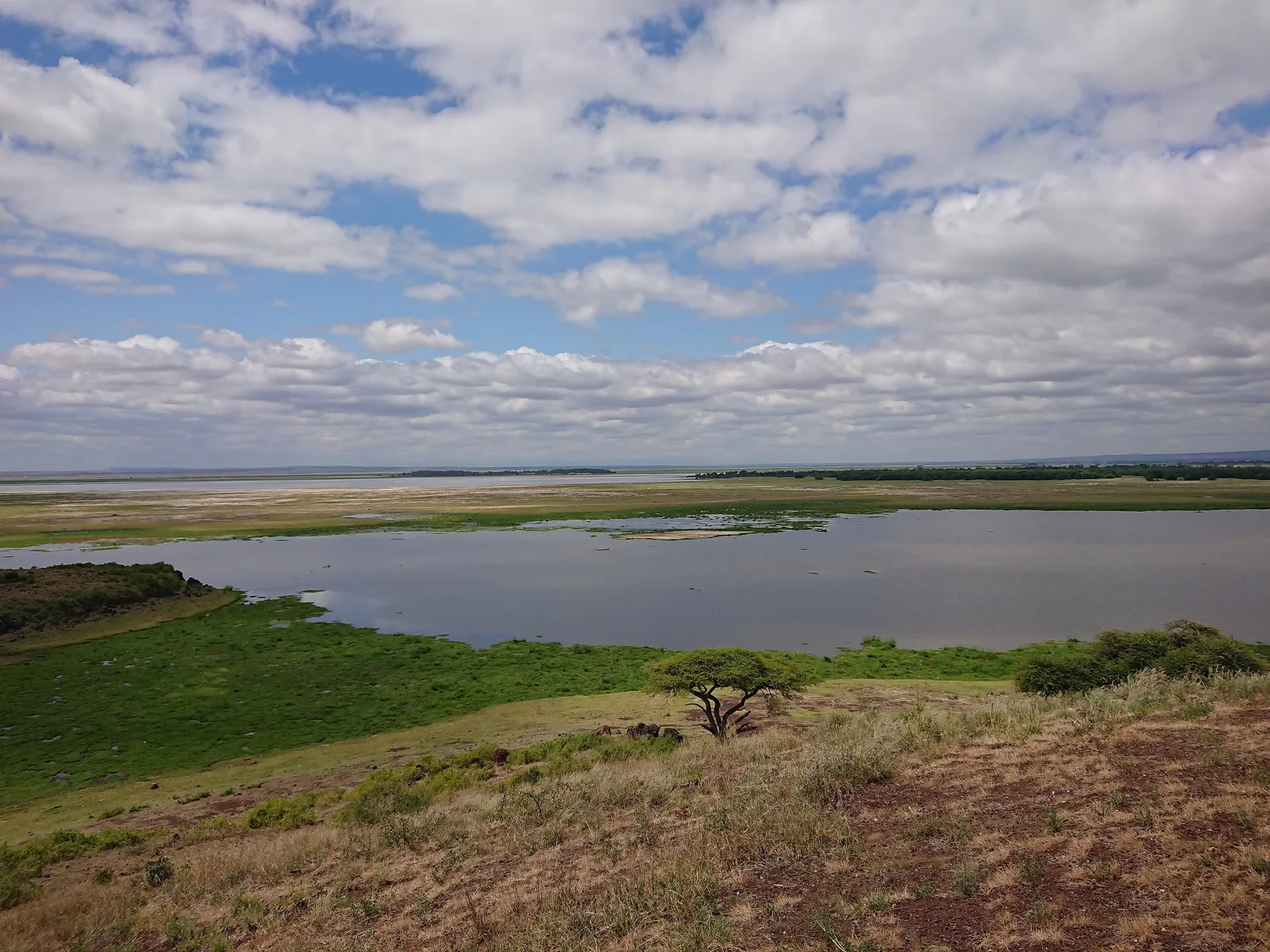 Marshland in Amboseli National Park seen from Observation Hill: a stretch of water with a green fringe, behind it a wide, pale plain under clouds