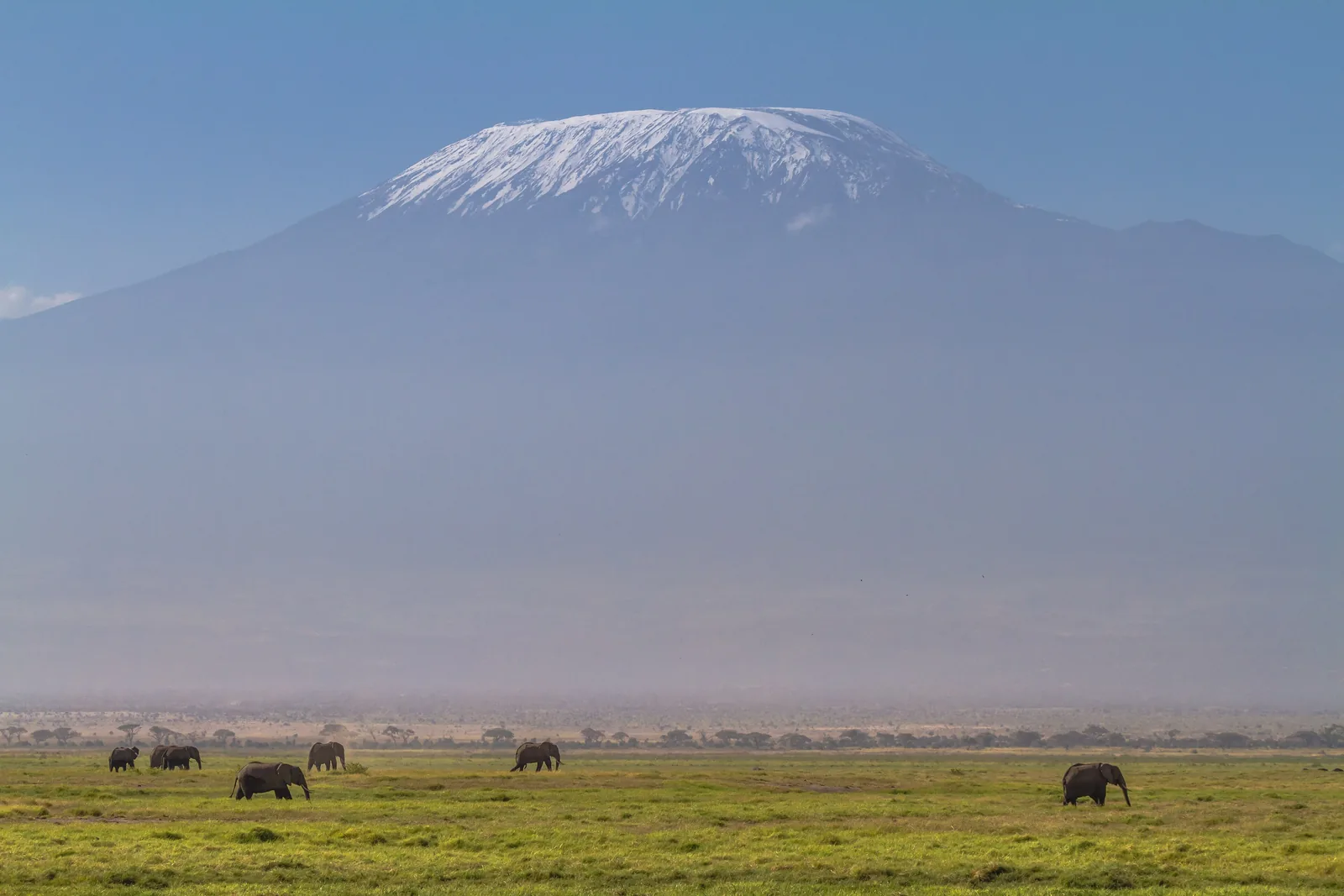 Snow-capped Kilimanjaro above a hazy plain, with small groups of elephants in the grass of Amboseli National Park in front
