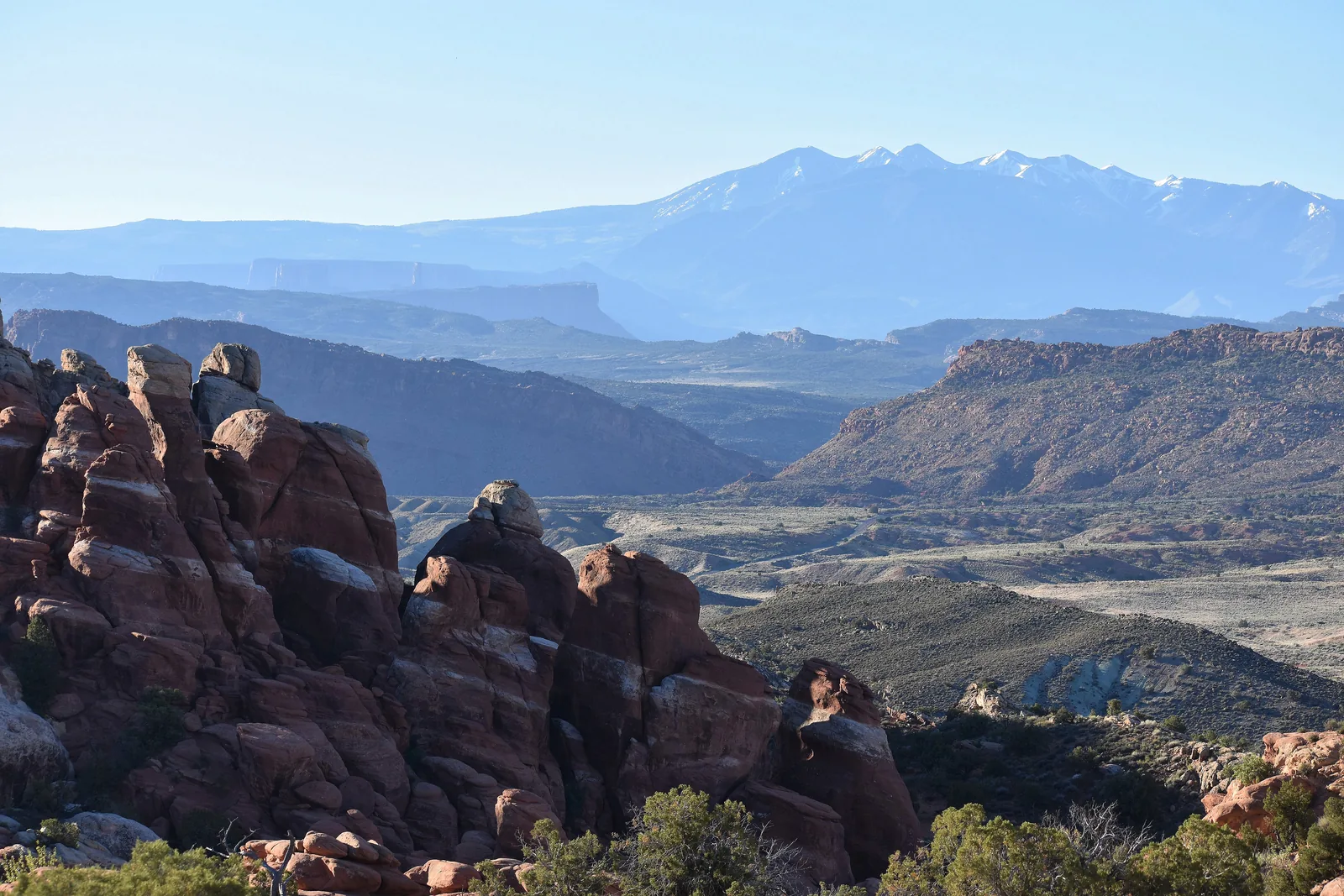 Densely packed red rock fins in Arches National Park in morning light, with the snow-capped La Sal Mountains behind