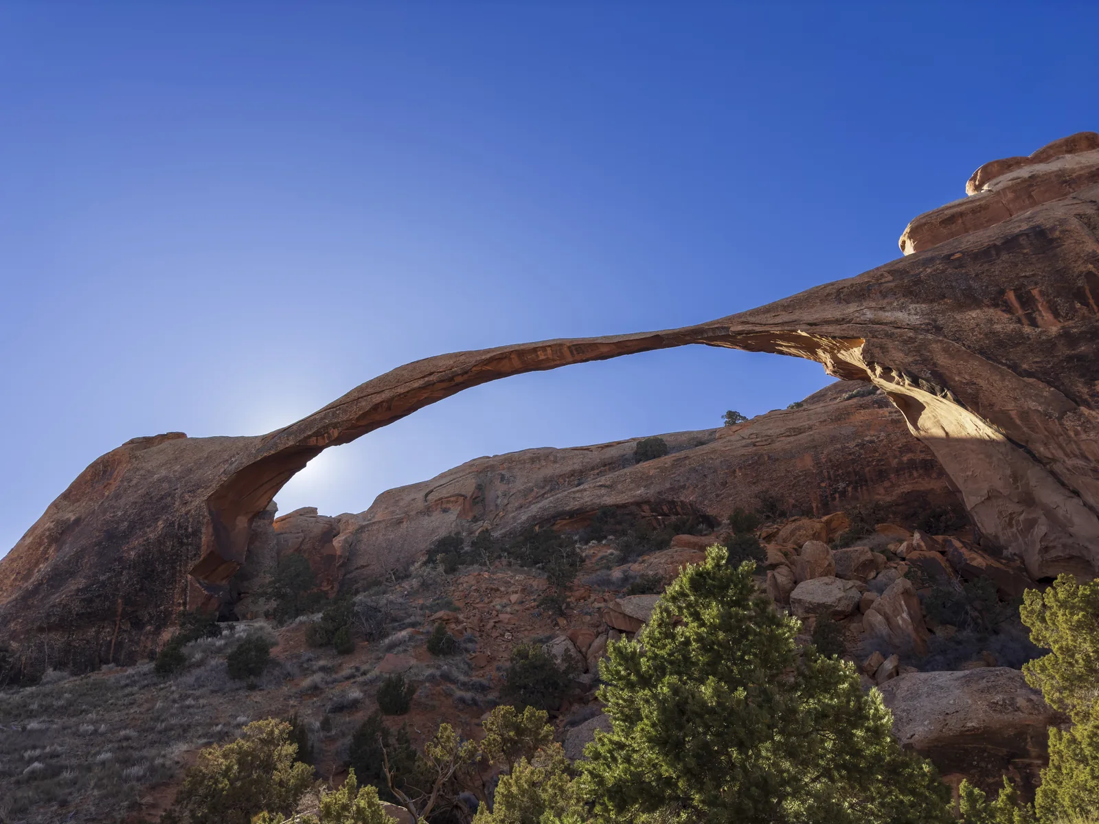 The extremely thin, long-spanning Landscape Arch in Arches National Park, against the light above juniper bushes