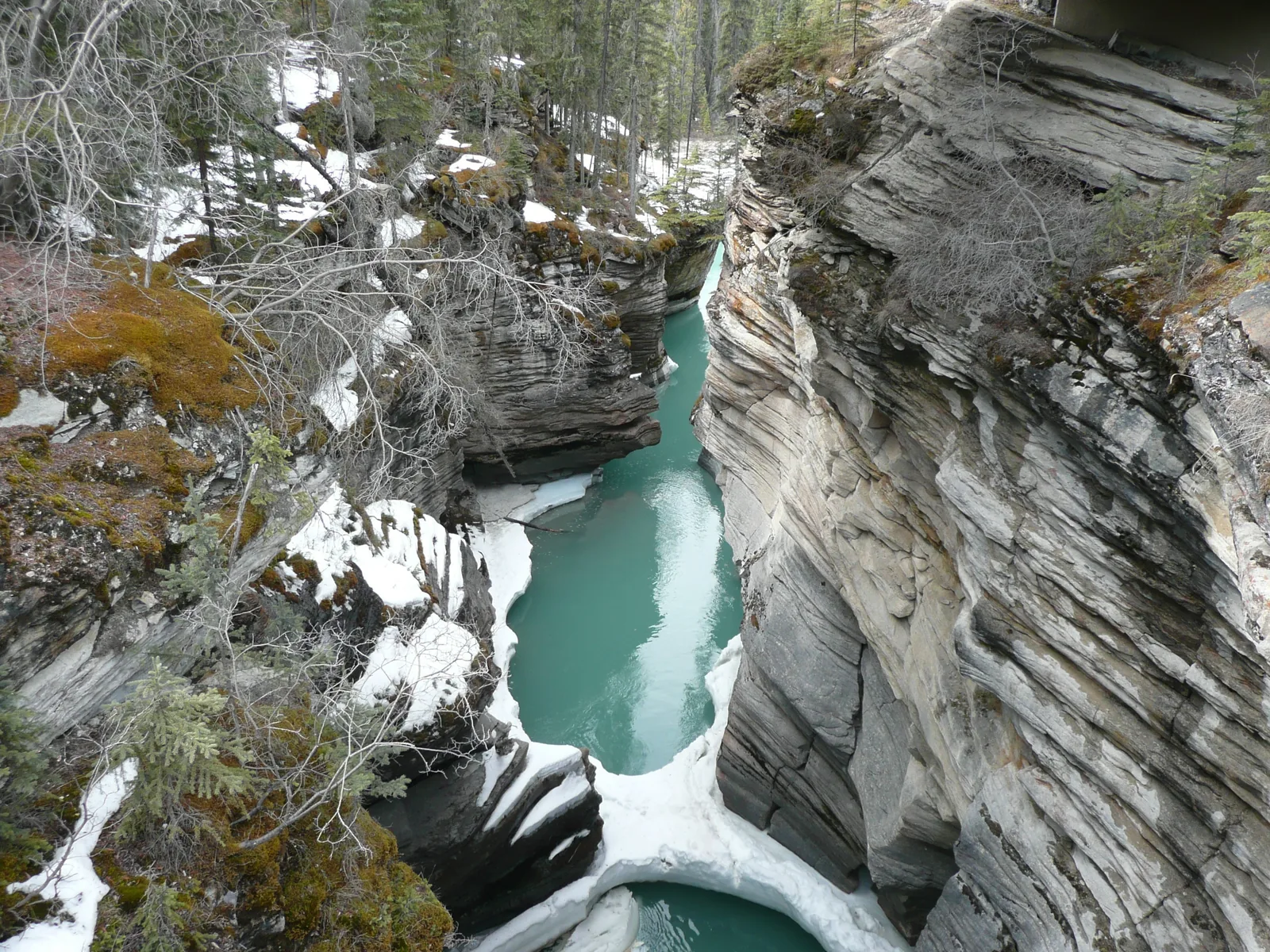 Turquoise water in the narrow canyon below Athabasca Falls in Jasper National Park, snow along the edges