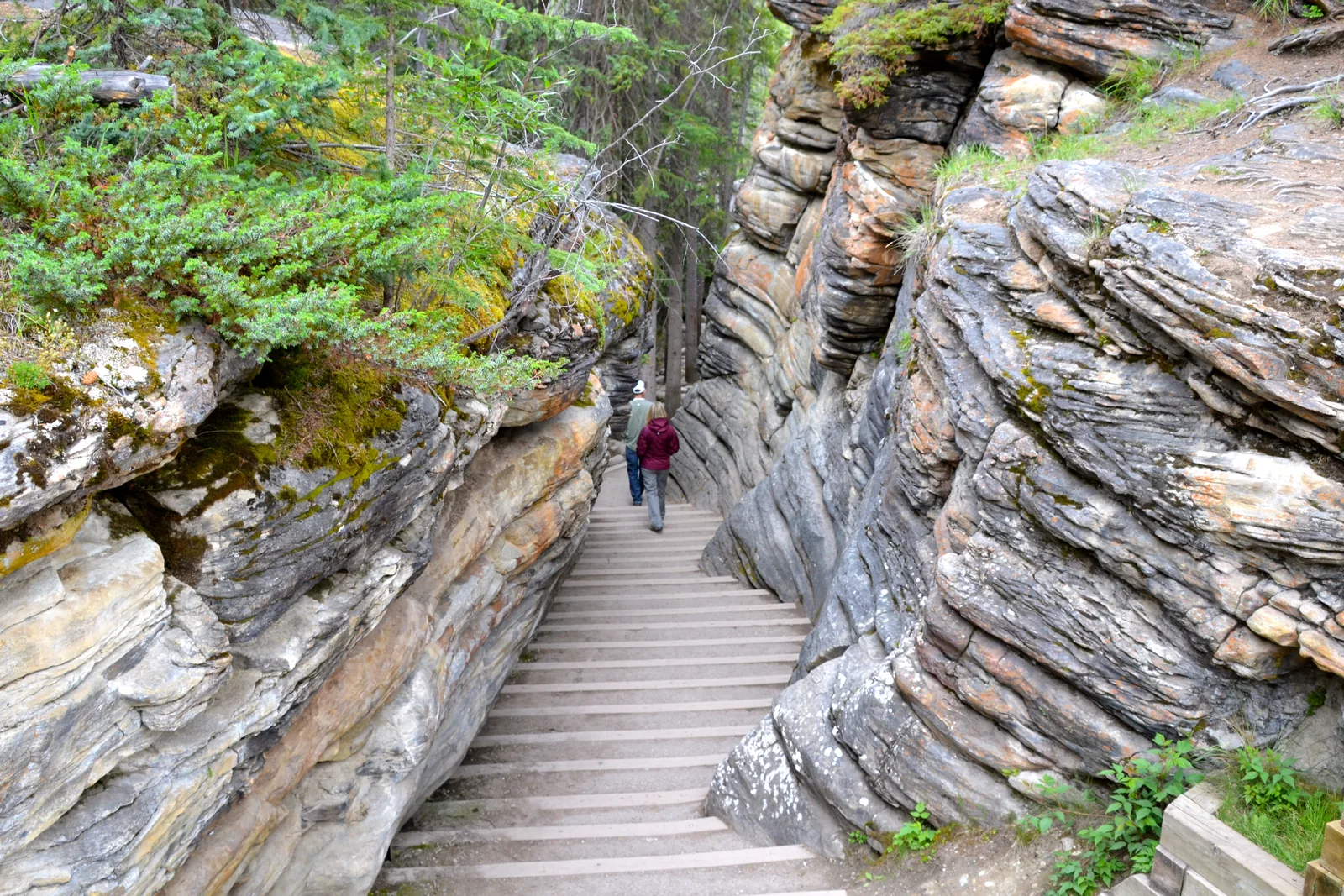 Visitors on the stairway between smoothly worn limestone walls at Athabasca Falls in Jasper National Park
