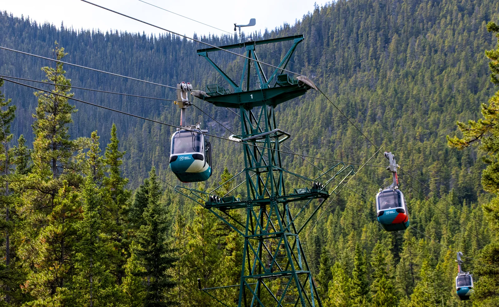 Banff Gondola cabins in Banff National Park on a green steel tower above the conifer forest of Sulphur Mountain.