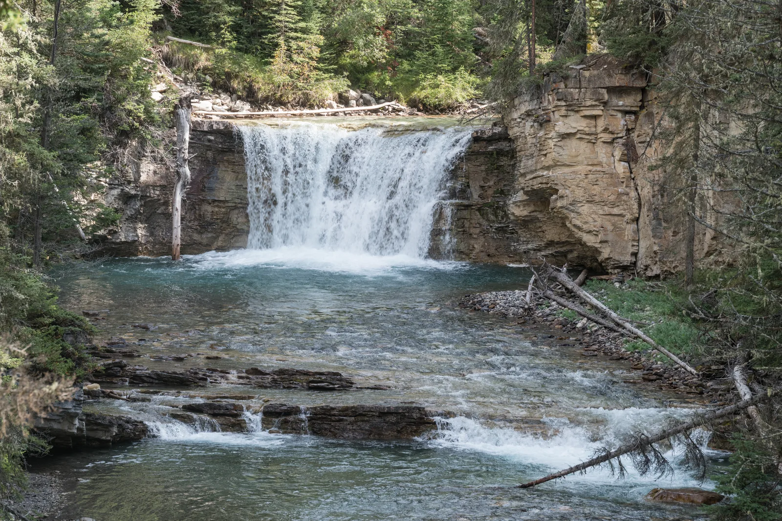 Wide cascade in Johnston Canyon in Banff National Park between limestone rocks and conifer forest.