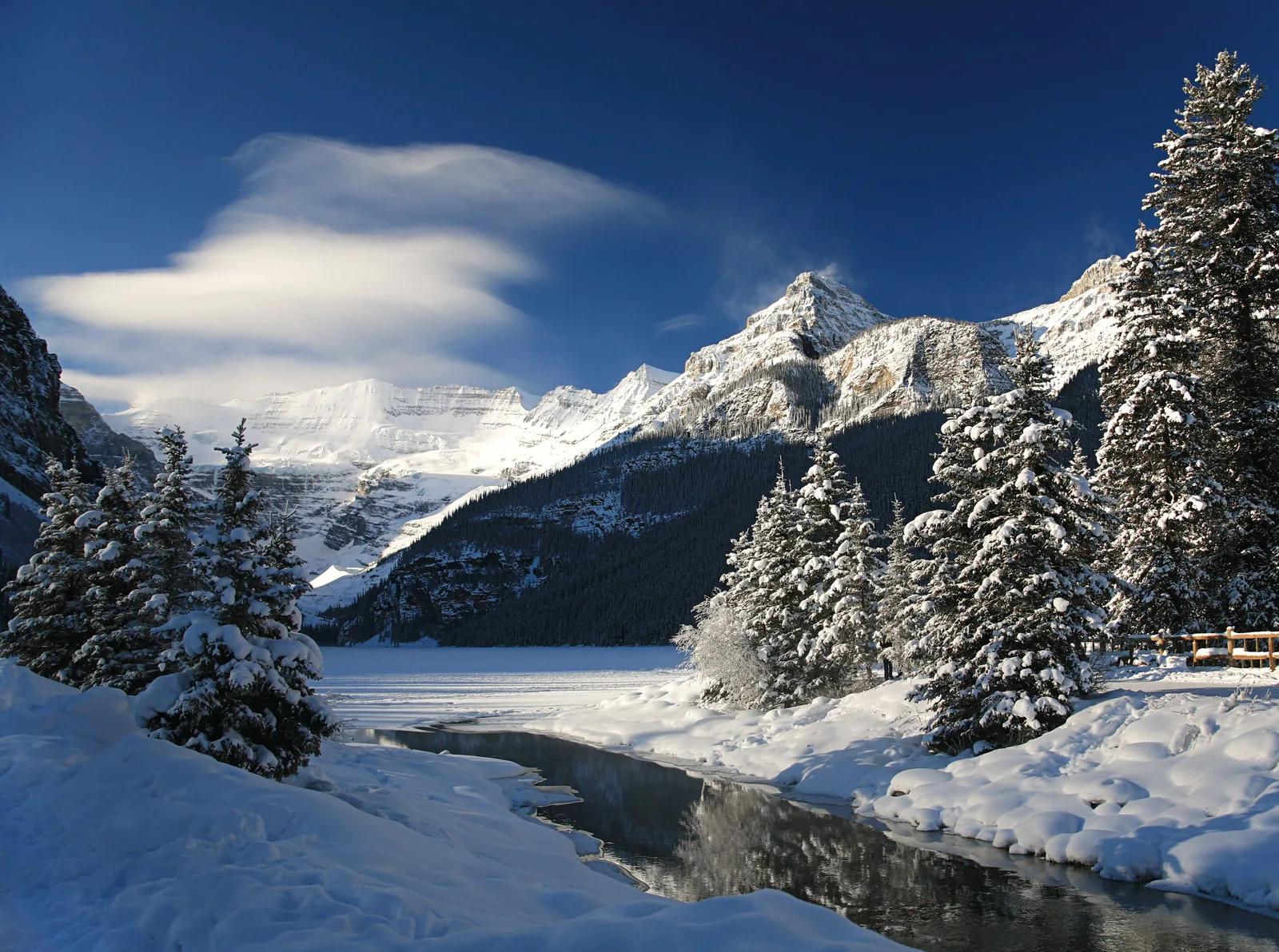 Snow-covered firs in Banff National Park by frozen Lake Louise, a cloud on the summit above.