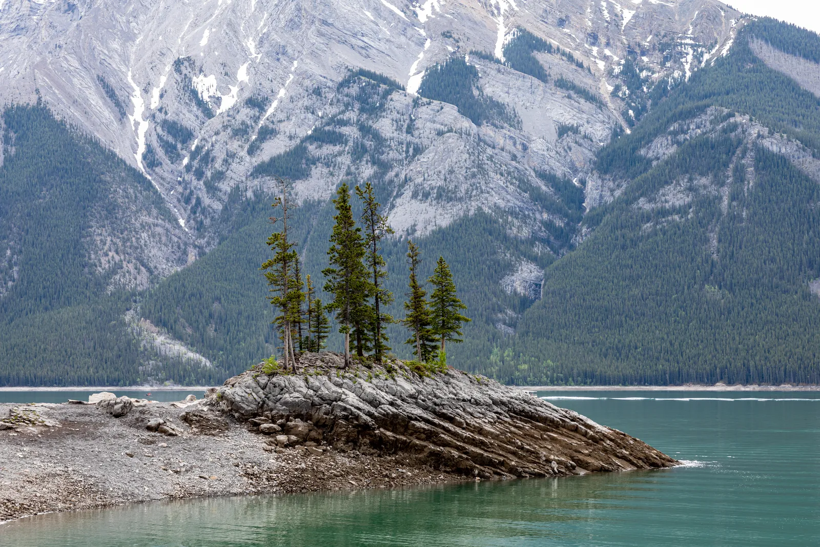 Rocky headland with a few conifers in turquoise-green Lake Minnewanka in Banff National Park, forested slopes with patches of snow behind.
