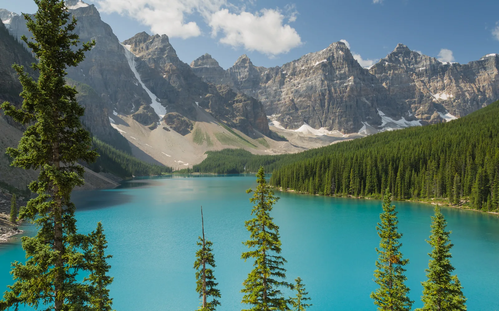Turquoise Moraine Lake in Banff National Park between conifers below the rock peaks of the Valley of the Ten Peaks.
