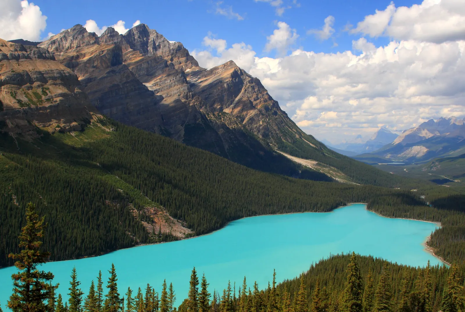 Peyto Lake in Banff National Park deep in the forested valley, rugged peaks and cumulus clouds above.
