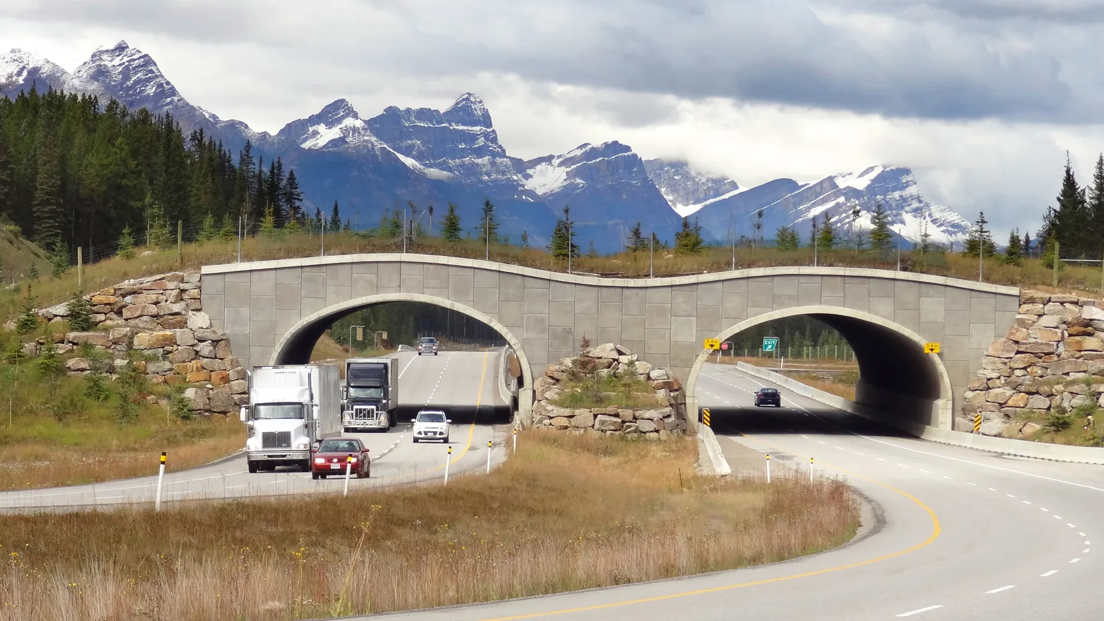 Green wildlife overpass in Banff National Park with two arches over the Trans-Canada Highway, lorries below, snowy peaks behind.