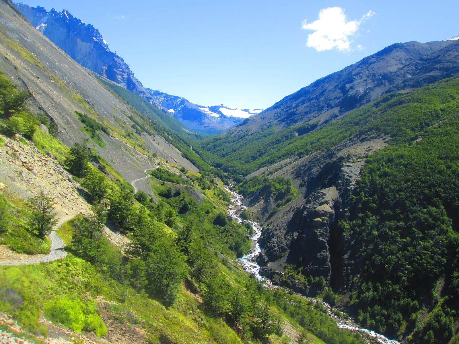 The Valle Ascencio in Torres del Paine National Park: hiking trail on a green slope above a river, mountains behind