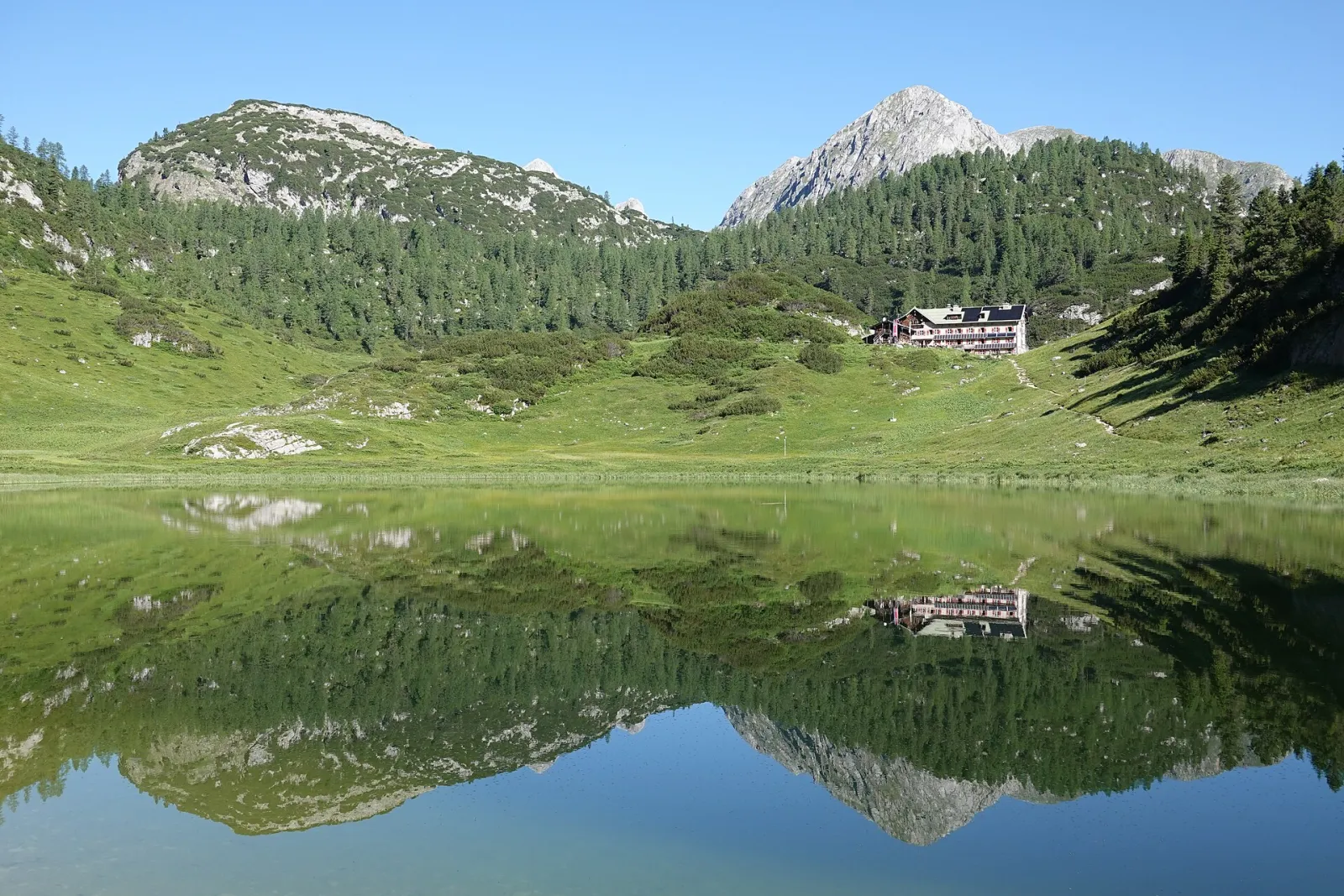 The Funtensee in Berchtesgaden National Park reflects alpine meadows, mountain pines and the Kärlingerhaus, with bare limestone peaks behind