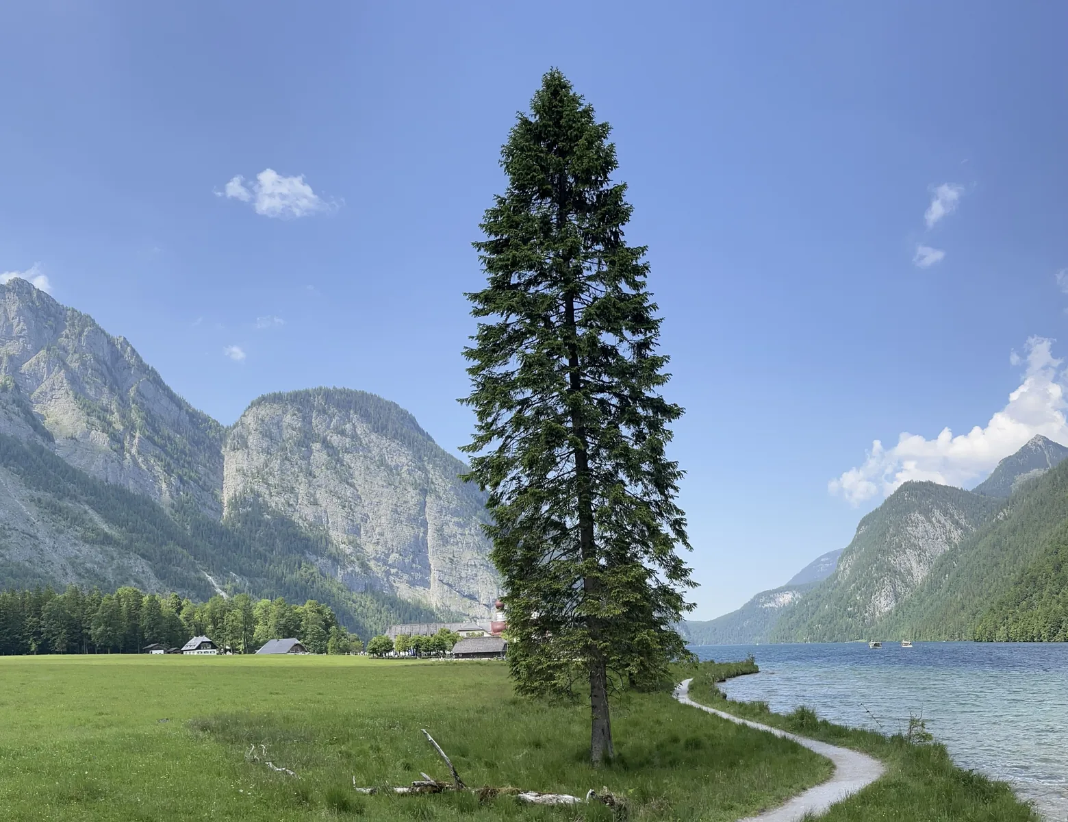 View from the south across the St. Bartholomä peninsula meadow in Berchtesgaden National Park: a single spruce, and behind it the small church and the lake