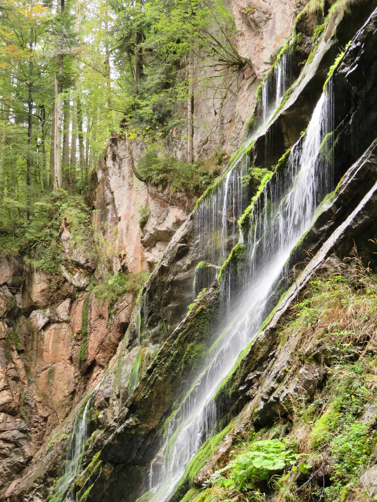 Stratum springs in the Wimbach Gorge, Berchtesgaden National Park