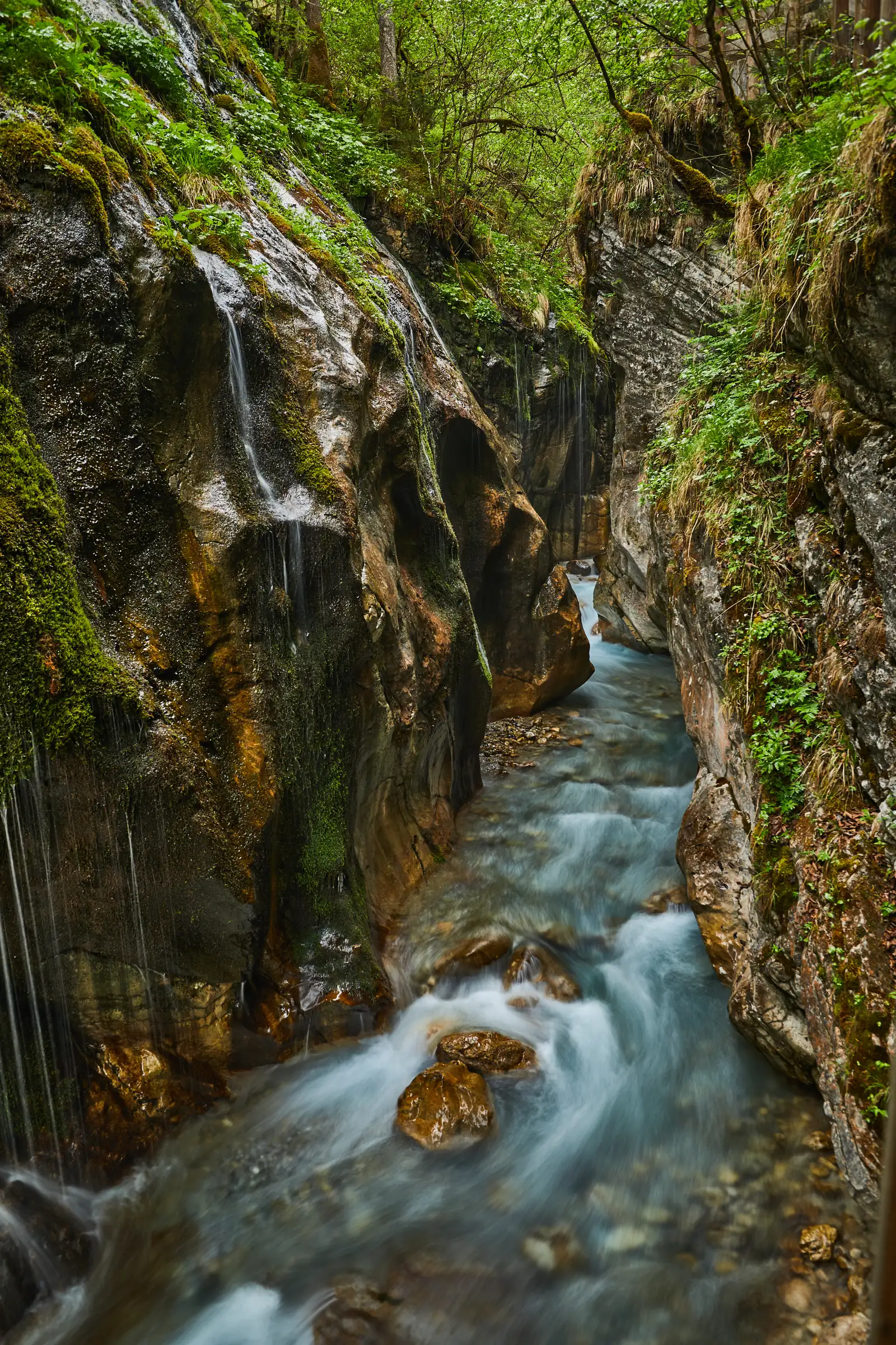 Turquoise water rushes through the narrow, mossy Wimbach Gorge in Berchtesgaden National Park