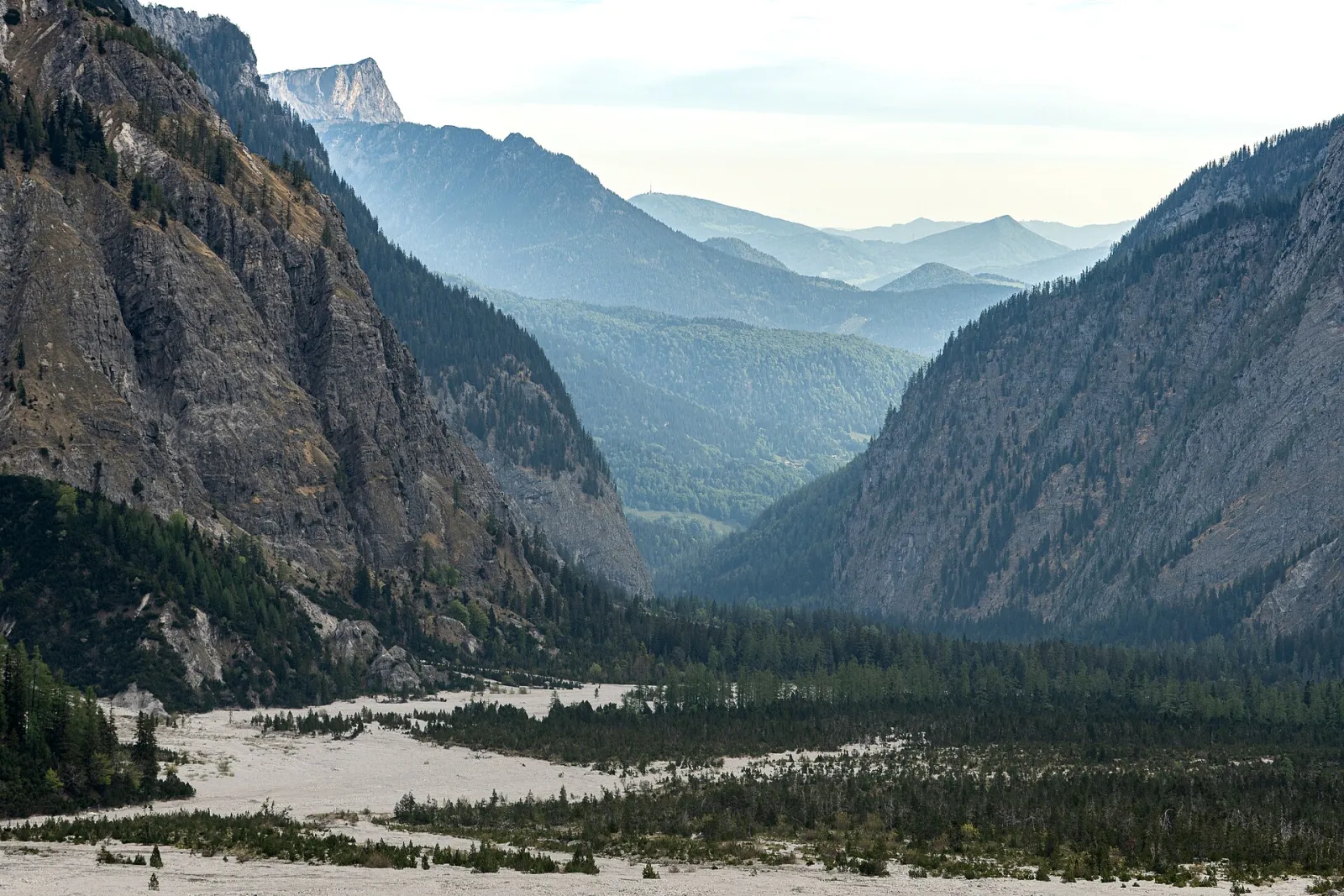 The Wimbachgries in Berchtesgaden National Park: a broad, pale river of scree on the valley floor between steep wooded slopes and rock walls
