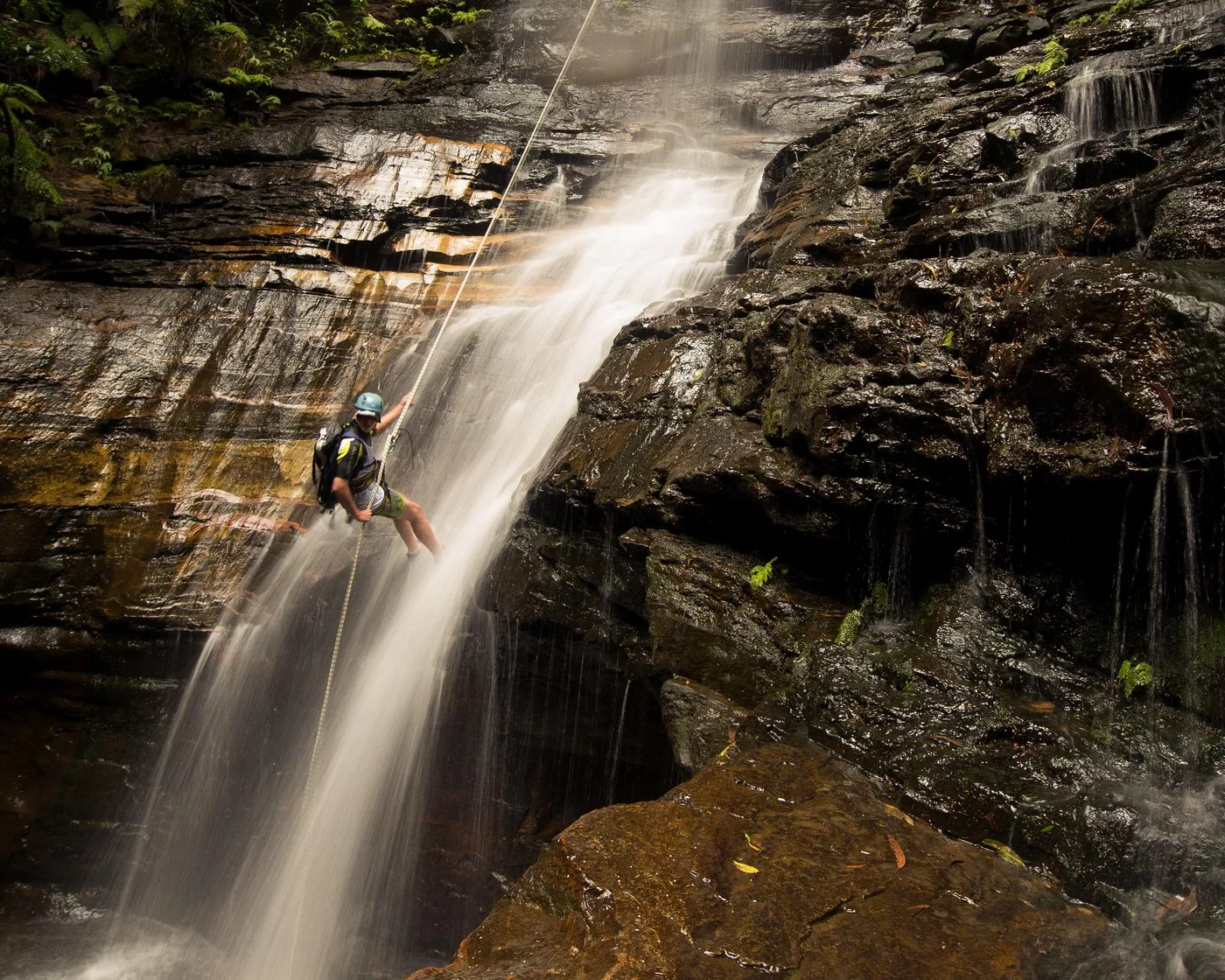 Offer photo: Blue Mountains: a day of abseiling and canyoning in a small group