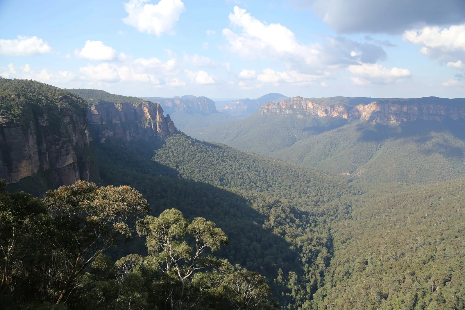 View from Govetts Leap in Blue Mountains National Park across the forested Grose Valley, sheer sandstone cliffs on the left, more rock plateaus on the horizon