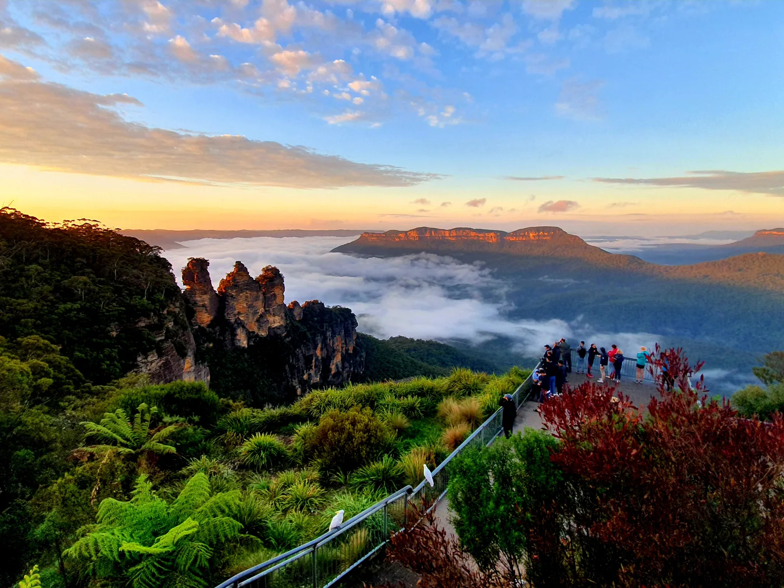 The Three Sisters in Blue Mountains National Park in the morning light, with mist in the Jamison Valley and Mount Solitary behind; the Echo Point viewing platform on the right