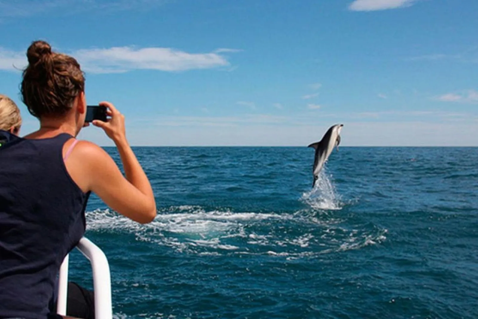 Offer photo: Pula: All-Inclusive Premium Brijuni Island Visit & Dolphins