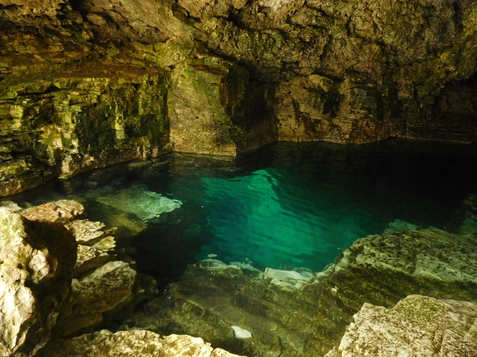 View out of the Grotto in Bruce Peninsula National Park: glowing green water in the limestone cave, with the arched rock ceiling above