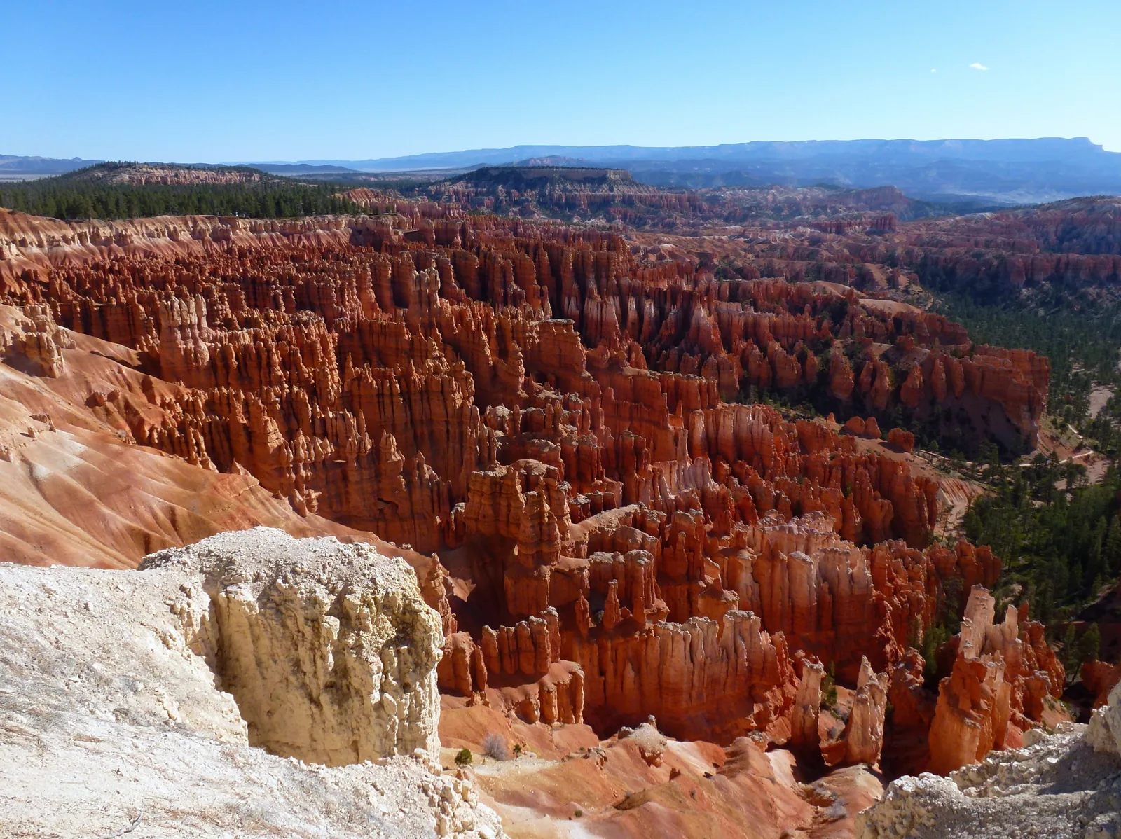 View over the Bryce Amphitheater in Bryce Canyon National Park: densely packed orange hoodoos, wooded slopes and distant plateaus behind