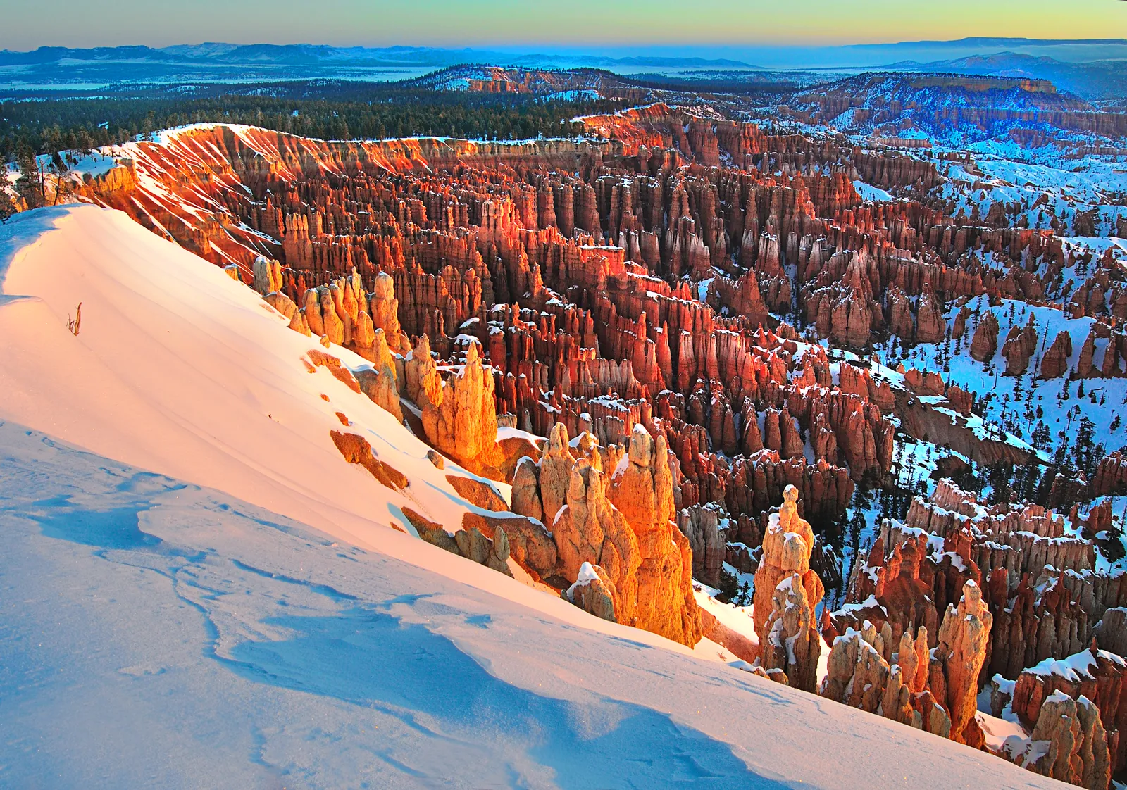 A snowdrift on the rim of the Bryce Amphitheater in Bryce Canyon National Park, with densely packed red hoodoos in low sunlight below and wooded plateaus behind