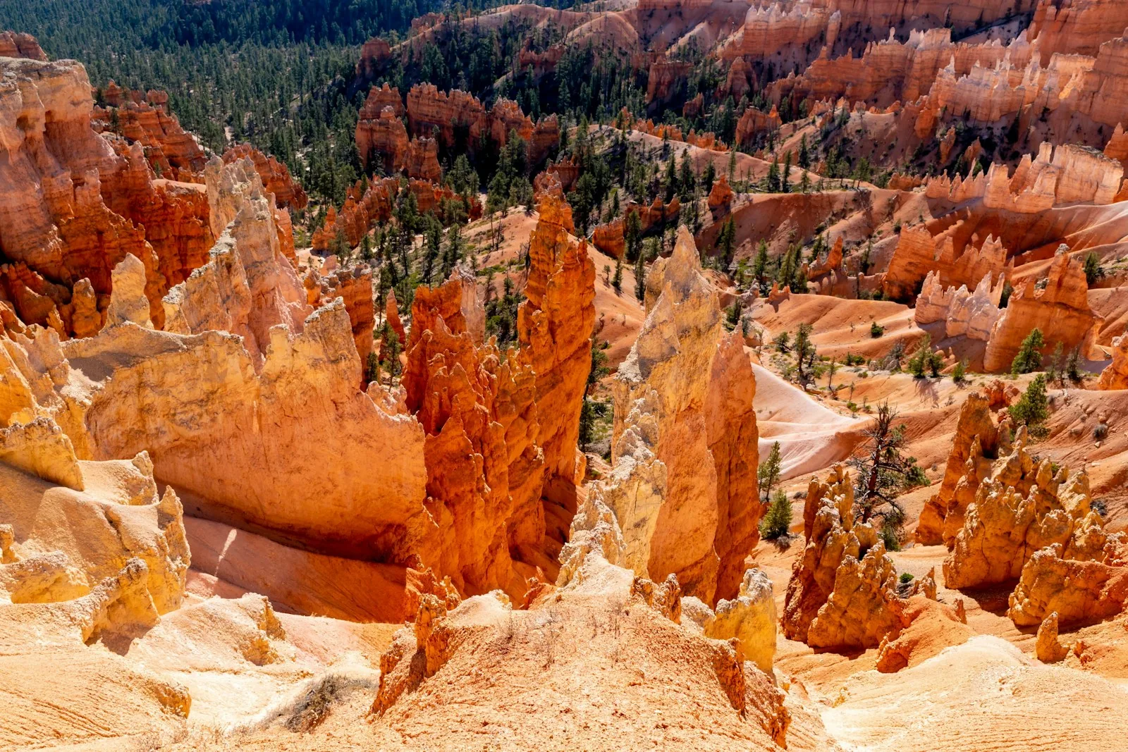 Offer photo: From Las Vegas: Bryce Canyon & Zion National Parks Day Tour with Lunch