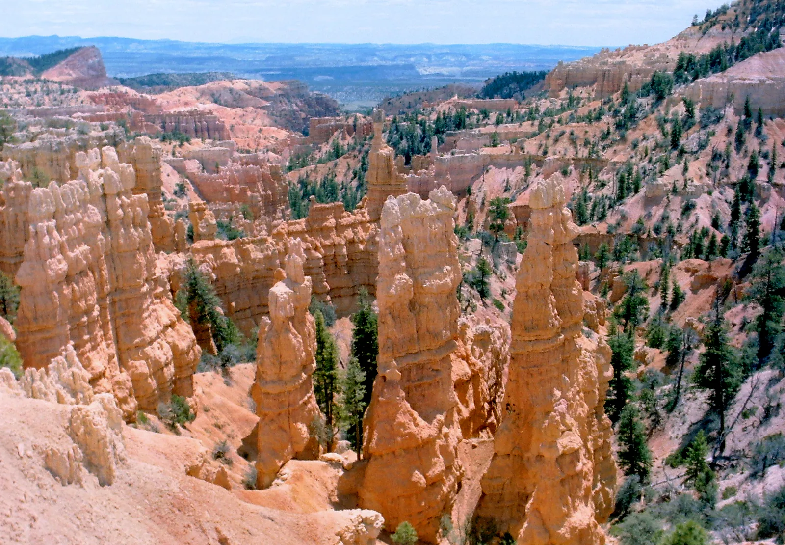 View east from Fairyland Point in Bryce Canyon National Park: slender orange hoodoos among conifers, pale rock slopes and a wide plain beyond