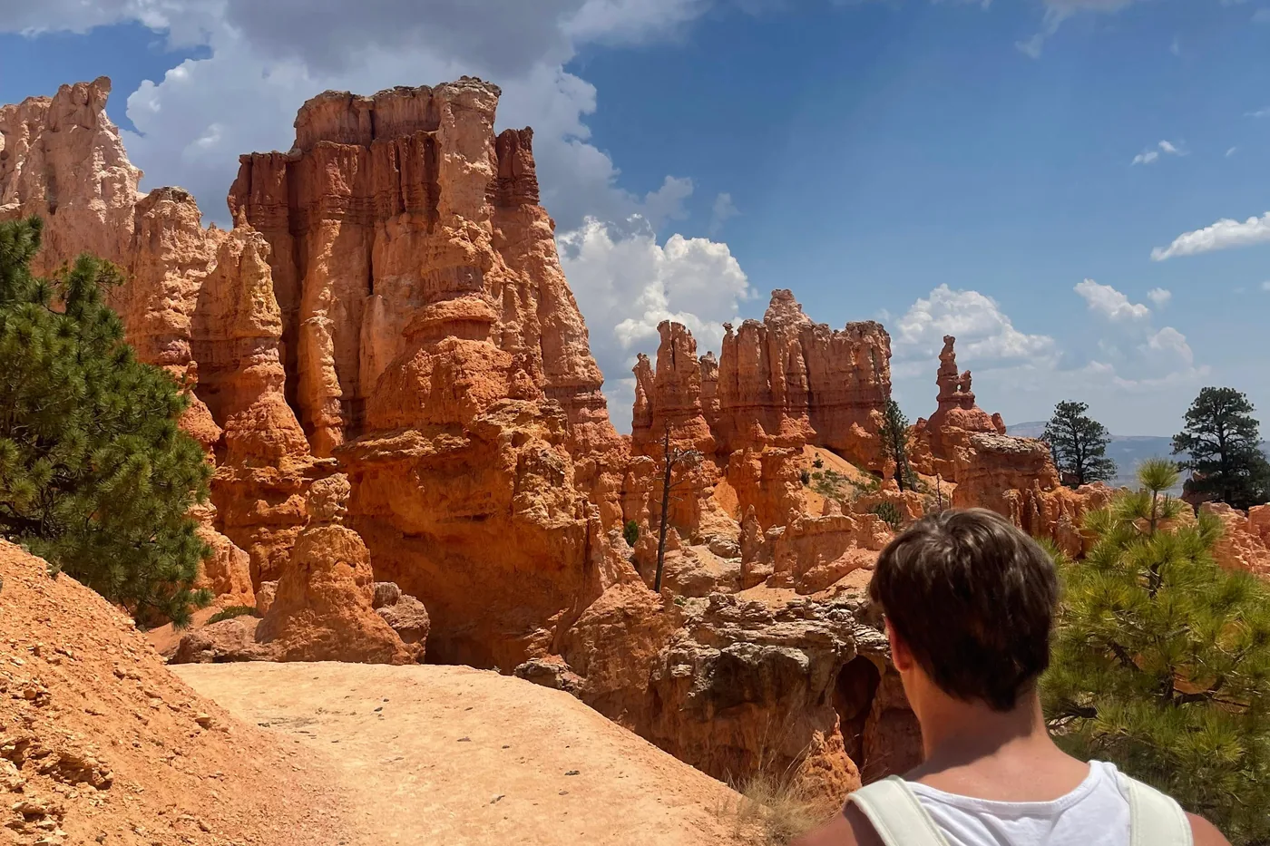 Offer photo: Bryce Canyon: guided hike on Queen's Garden and the Navajo Loop