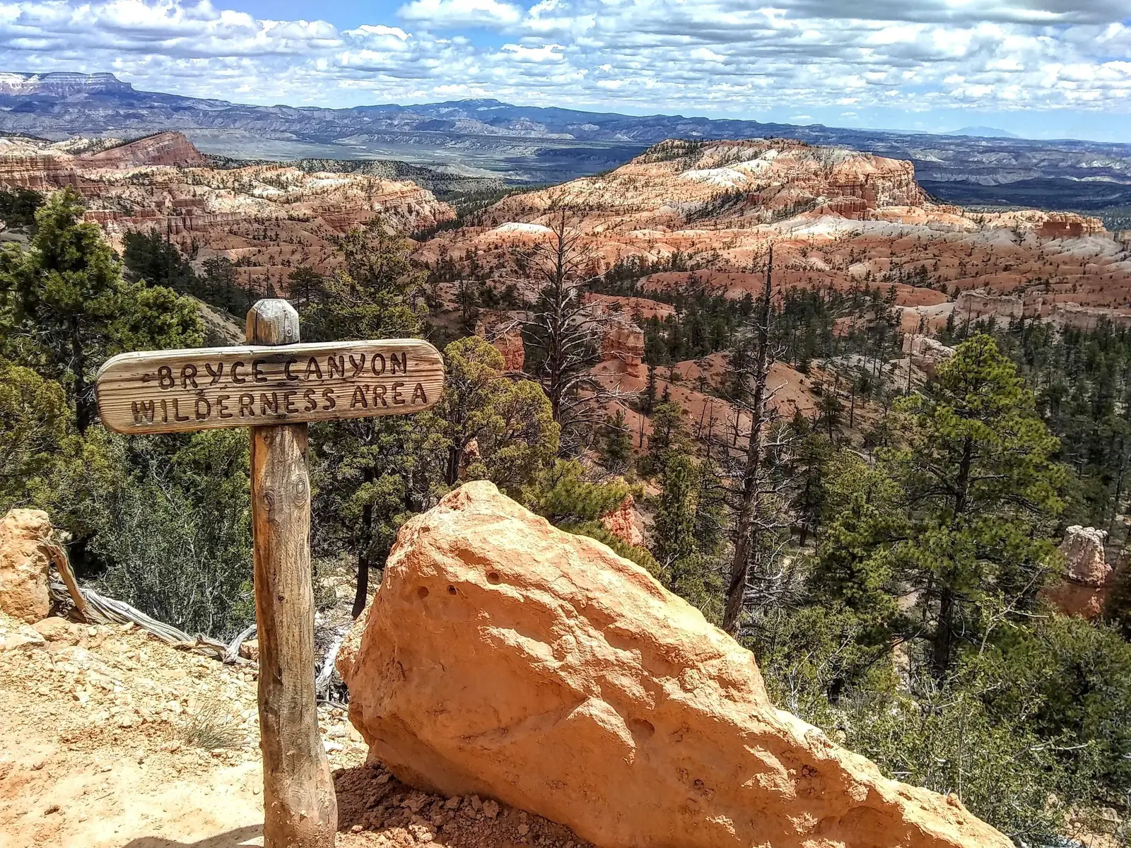 Offer photo: Bryce: Guided Sightseeing Tour of Bryce Canyon National Park
