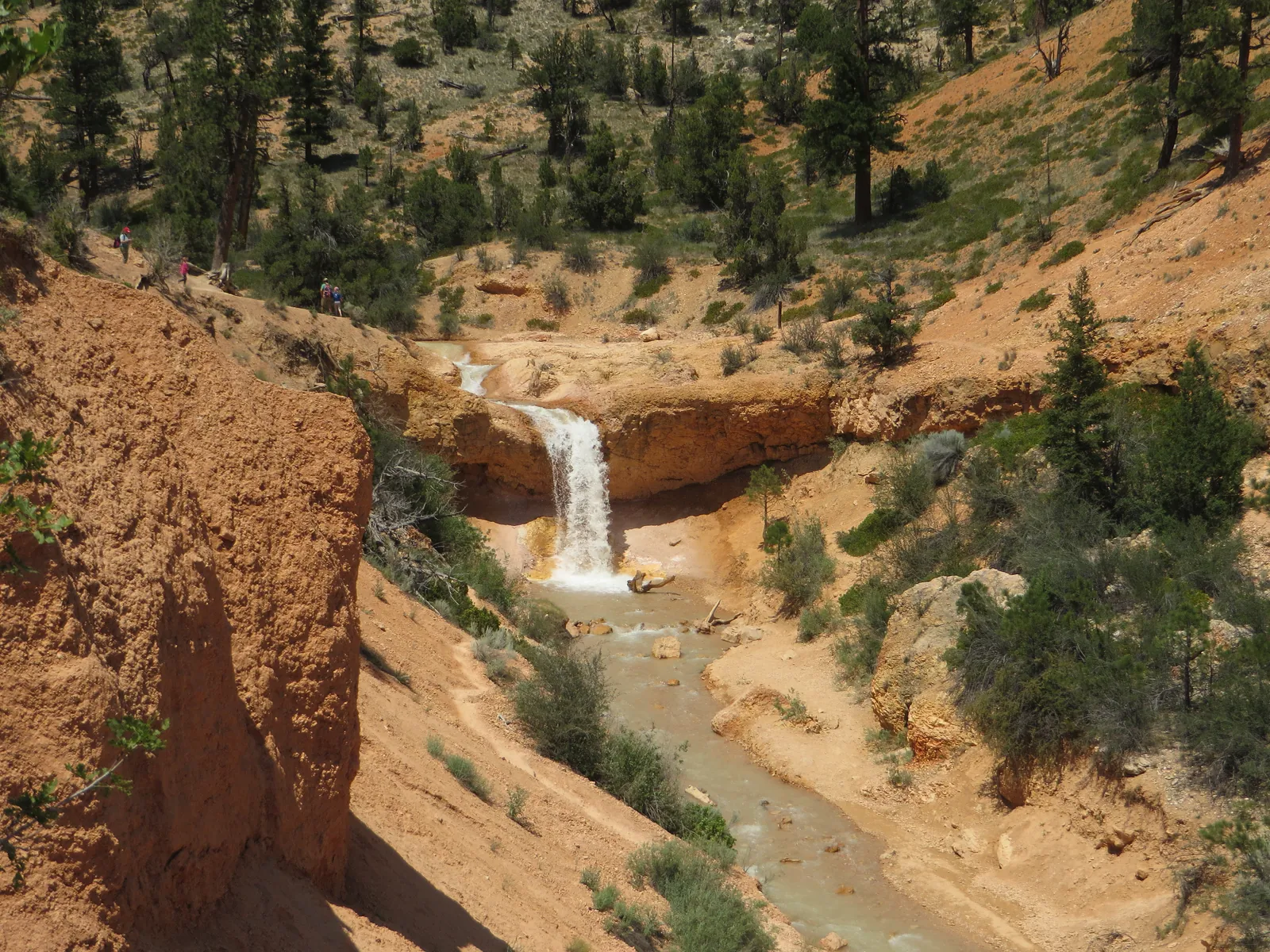 The Tropic Ditch waterfall in Bryce Canyon National Park drops over a rock ledge into the stream, surrounded by pines and sandy slopes in sunlight