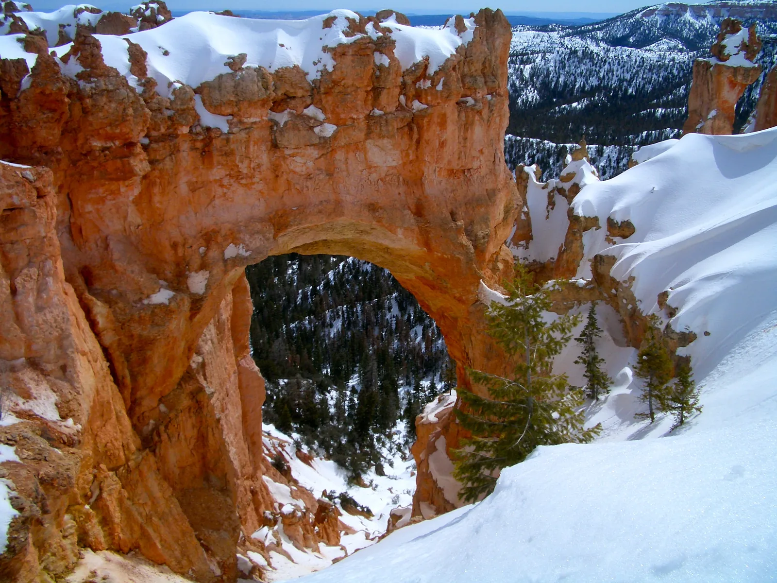 The Natural Bridge rock arch in Bryce Canyon National Park in snow, with dark green conifers below