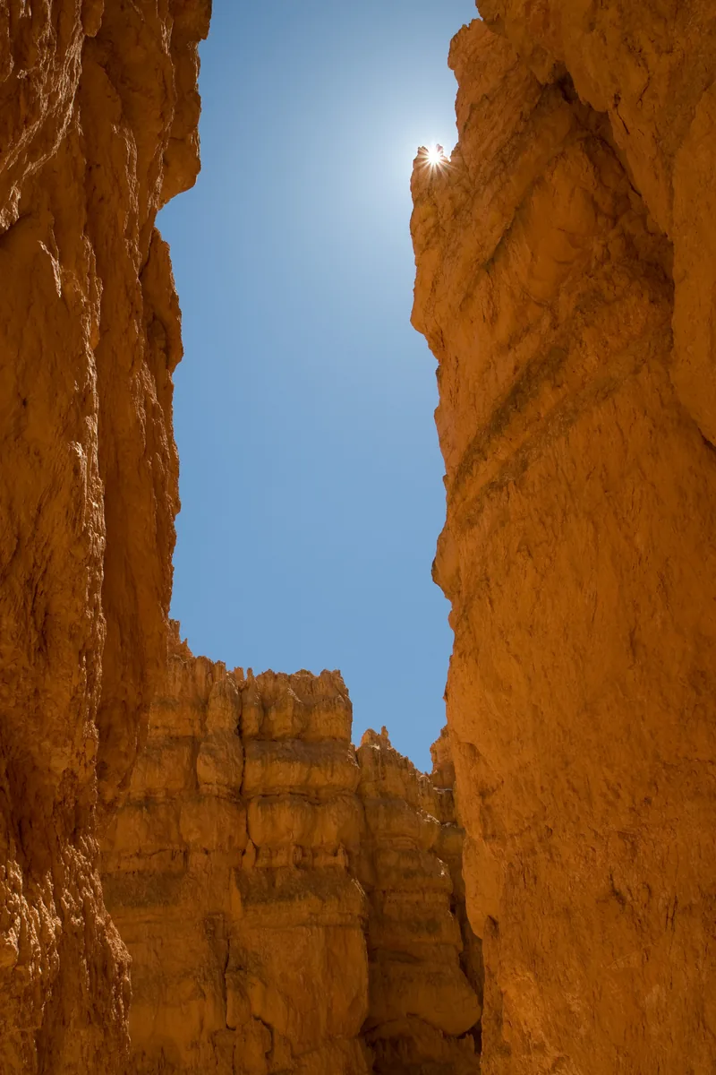 Looking straight up from the narrow Wall Street slot on the Navajo Loop in Bryce Canyon National Park, between two orange rock walls