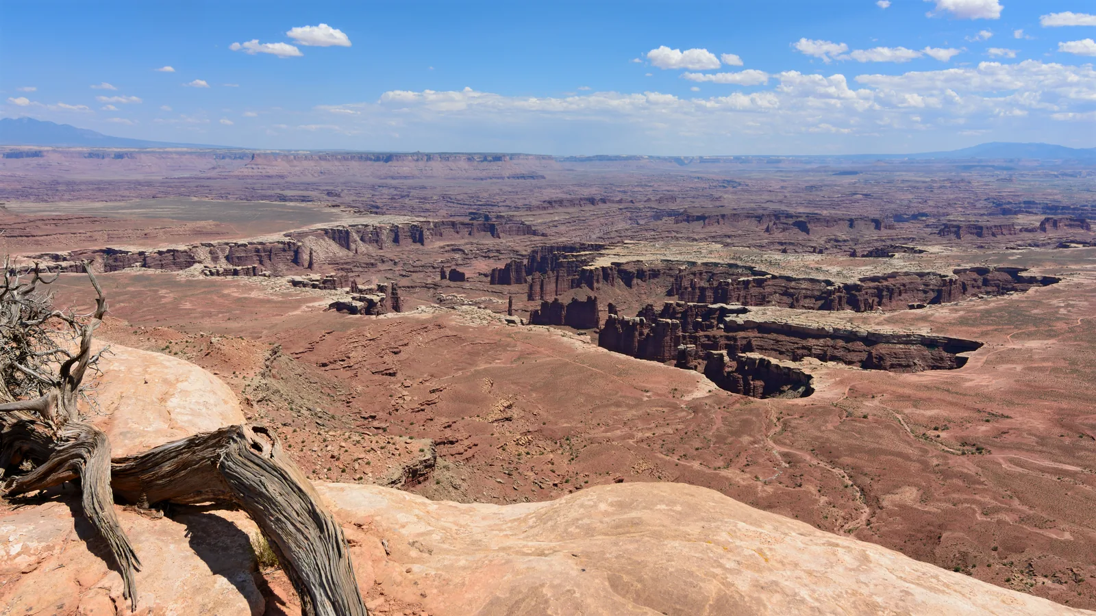 A wide view from Grand View Point in Canyonlands National Park over stepped canyon walls to Monument Basin, a dead juniper in the foreground