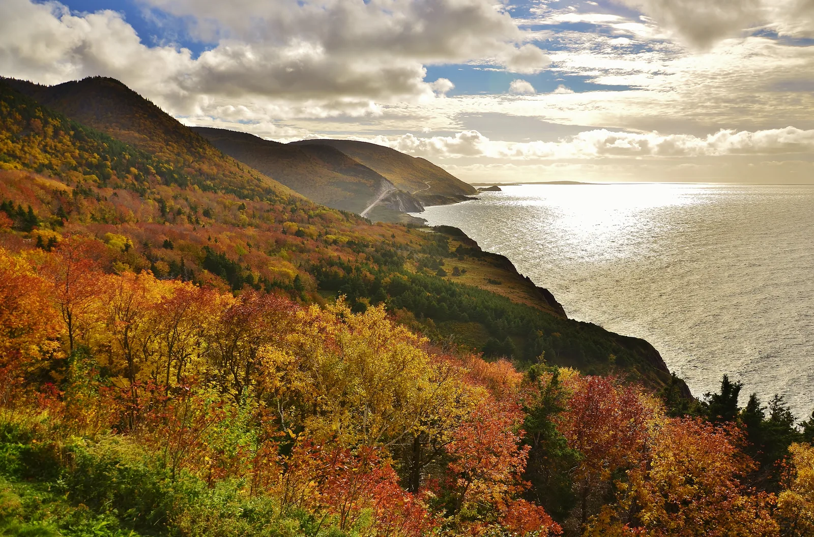 Forest in red and gold autumn colours above the Cabot Trail in Cape Breton Highlands National Park, cutting into the steep coastal slope, with the glittering sea below