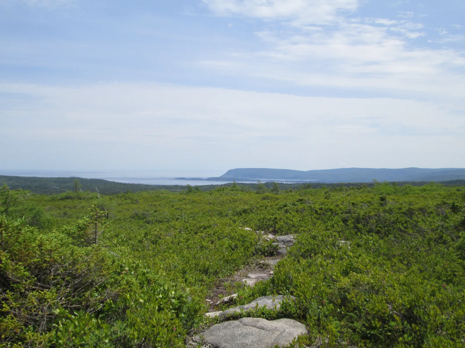 The plateau of Cape Breton Highlands National Park: low heath and dwarf spruce over granite slabs, the sea and a distant cliff coast in the background