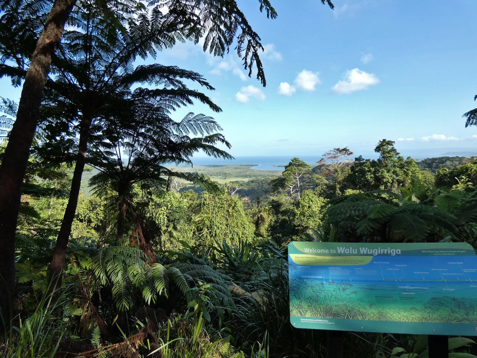 At the Walu Wugirriga lookout in Daintree National Park: tree ferns and rainforest in the foreground, the mouth of the Daintree River and the sea behind, an information board on the right