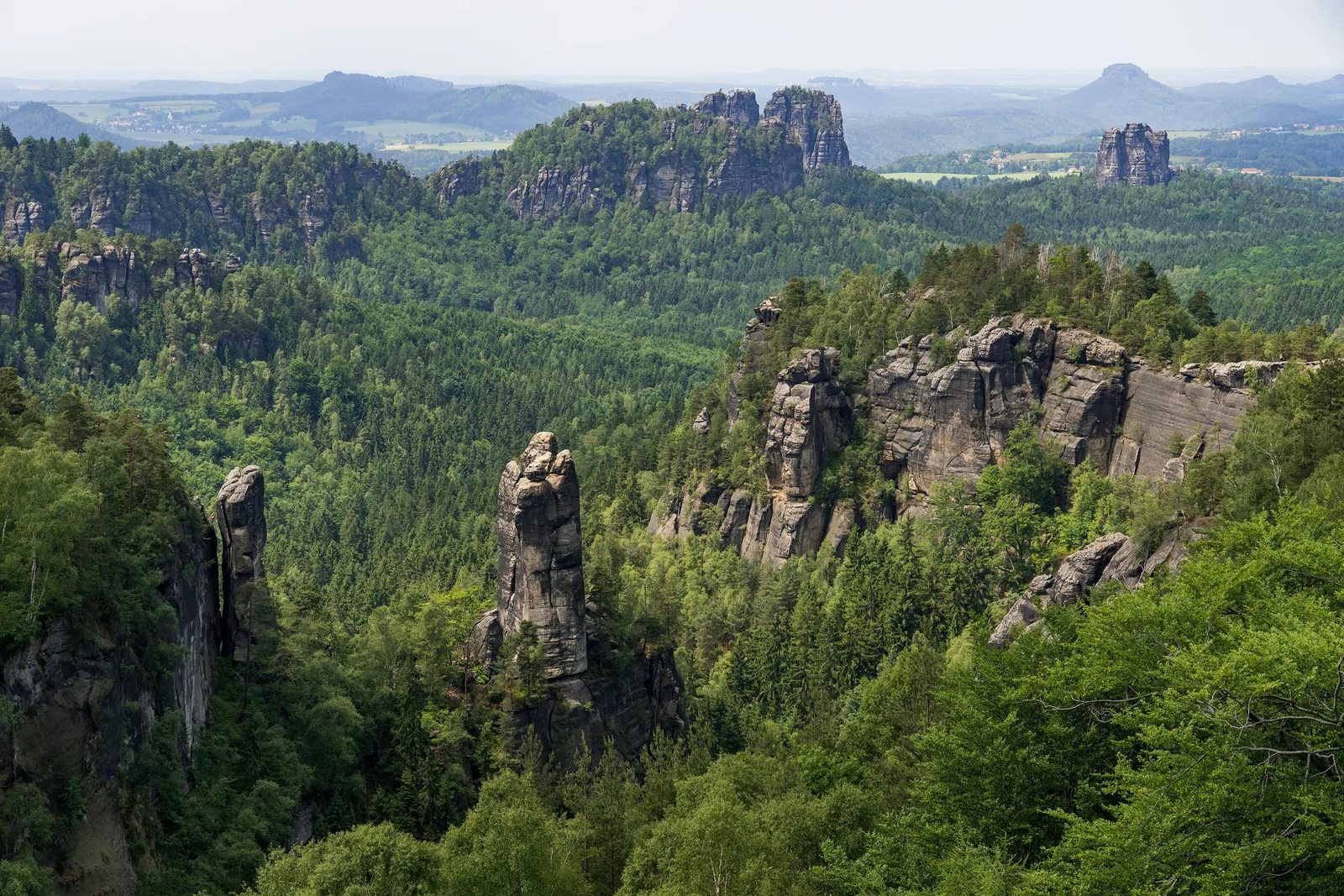 View from the Carolafelsen across the wooded Affensteine and rock towers to the Schrammsteine ridge in Saxon Switzerland National Park