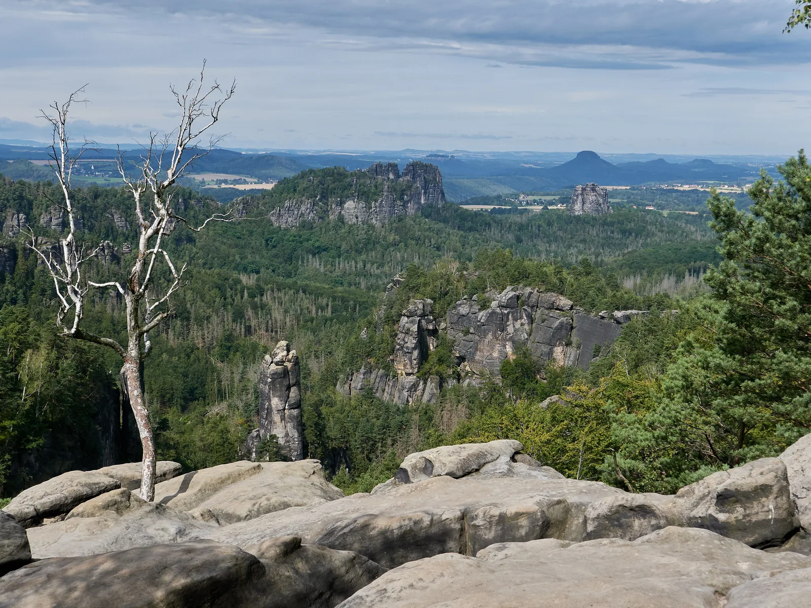 Rock plateau of the Carolafelsen with a dead tree and a view across the Großer Dom to the Schrammsteine ridge