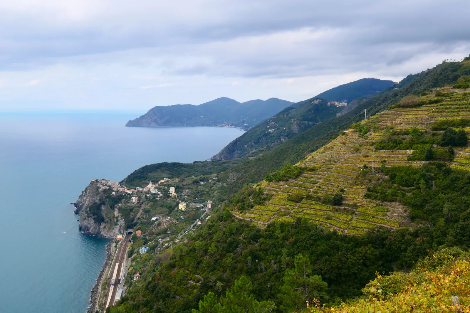 Vineyard terraces on the steep slopes of the Cinque Terre above the sea, with a village on a rocky promontory on the coast