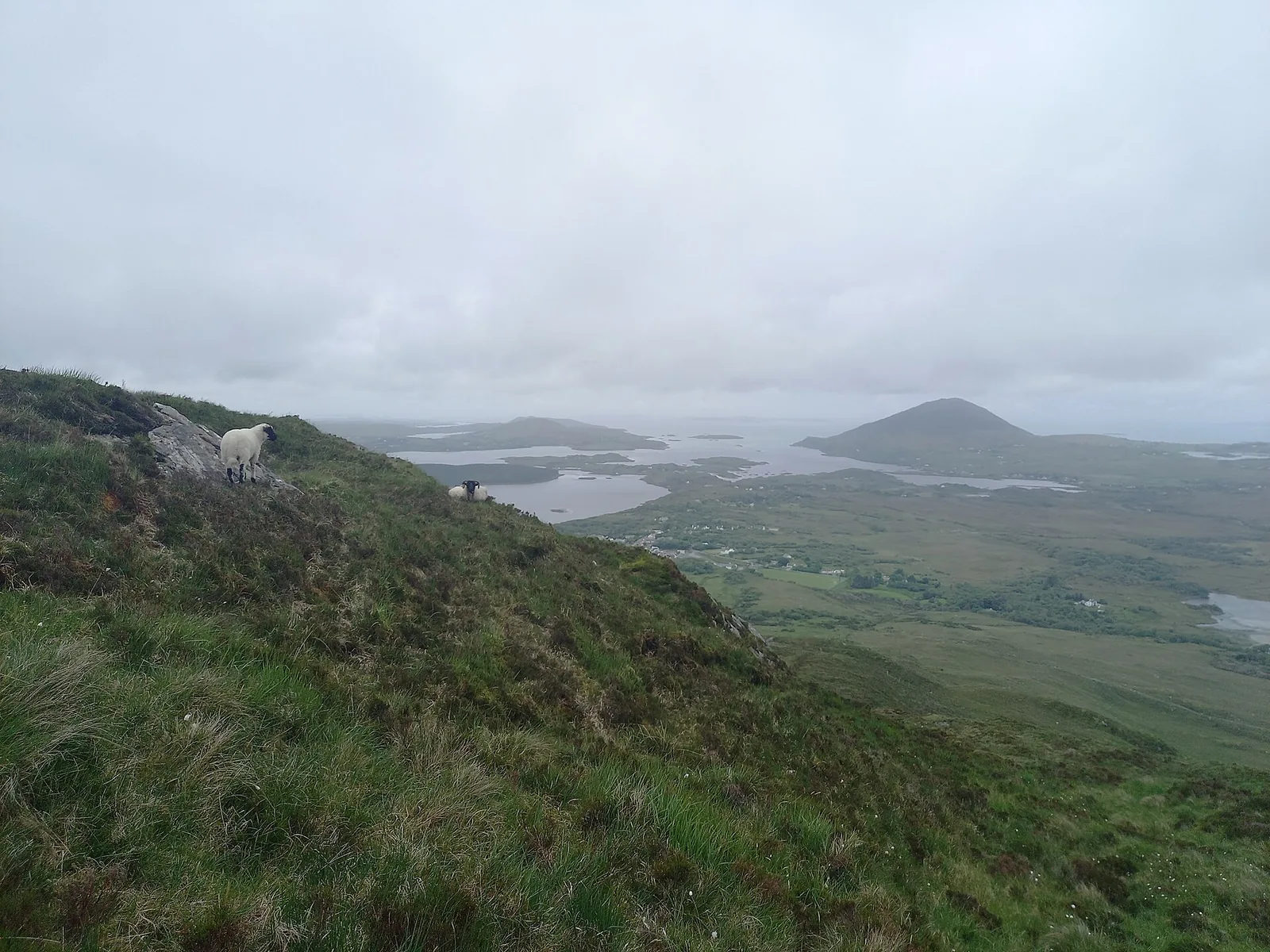 View from Diamond Hill in Connemara National Park over the coast and Tully Hill