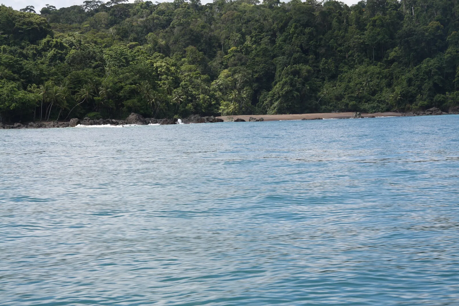 The coast of Corcovado National Park seen from a boat: dense rainforest runs down to the beach above calm blue water