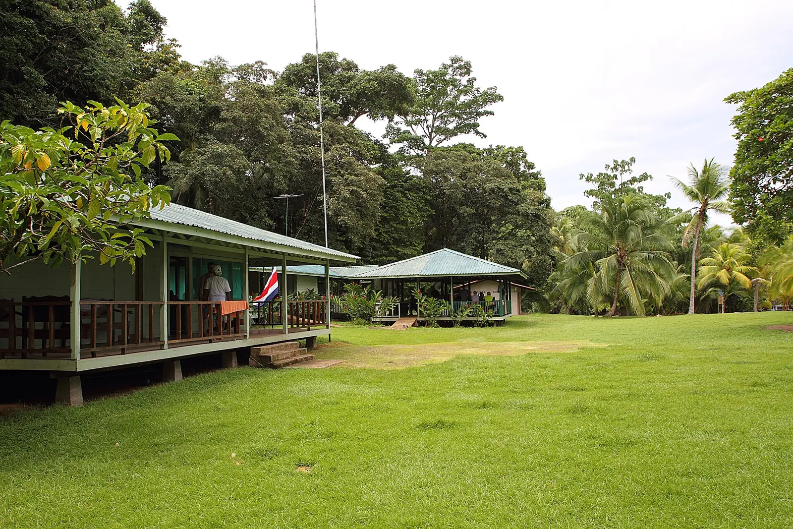 Wooden houses with green roofs on a lawn at San Pedrillo station in Corcovado National Park, surrounded by palms and rainforest